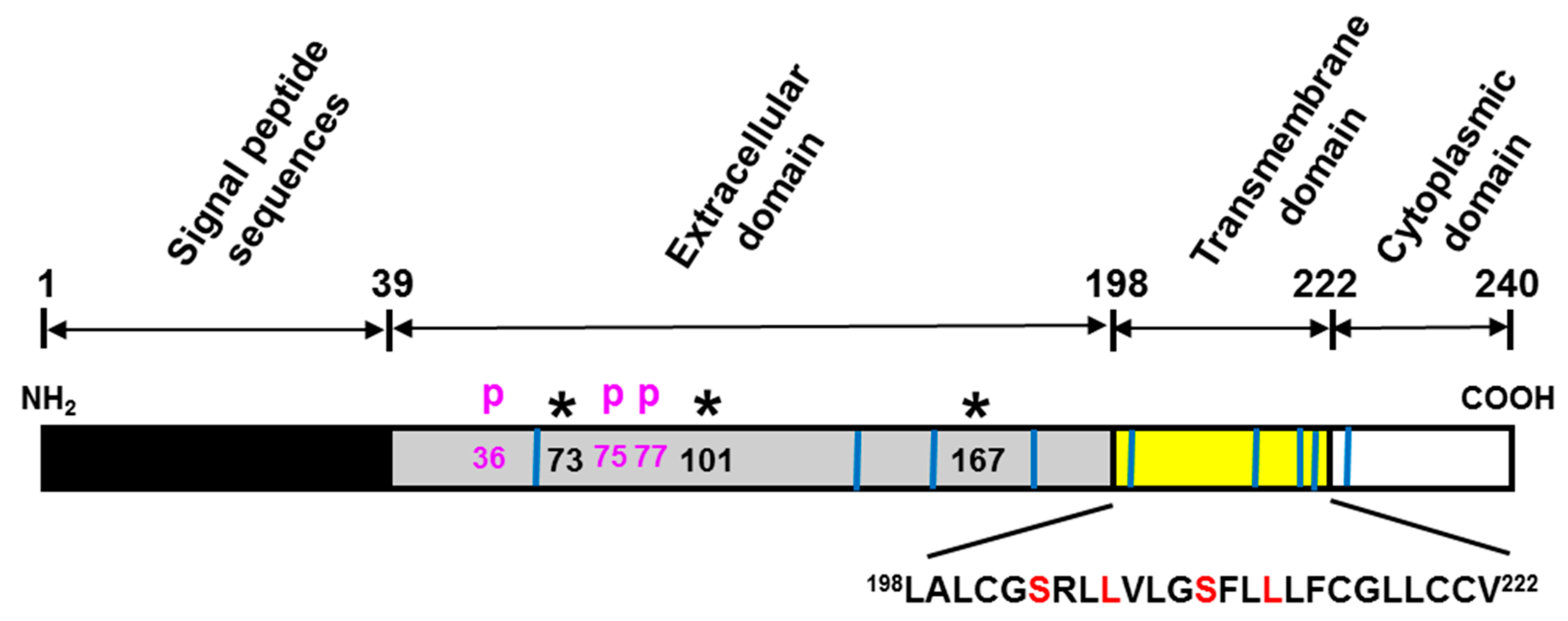 Cells 09 01261 g002 Cells 09 01261 g002