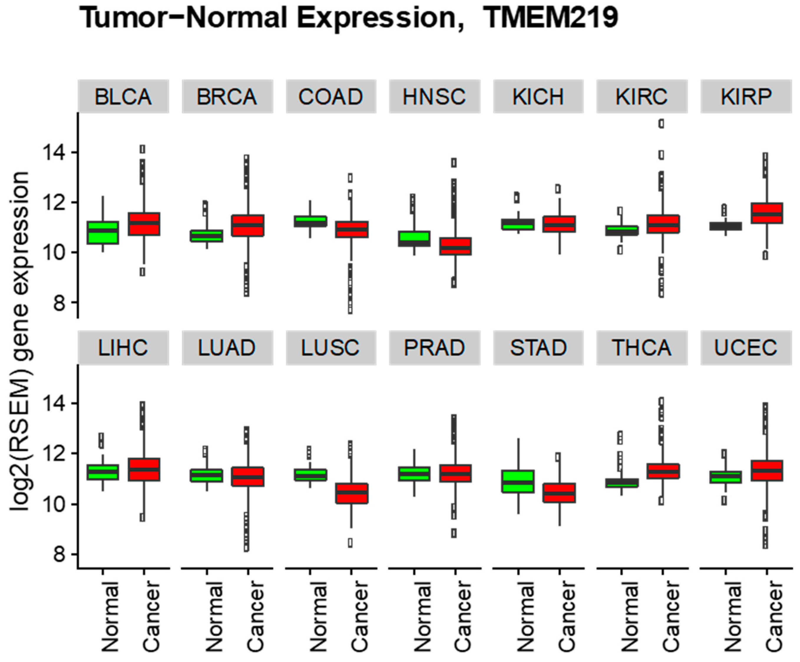 Cells 09 01261 g004 Cells 09 01261 g004