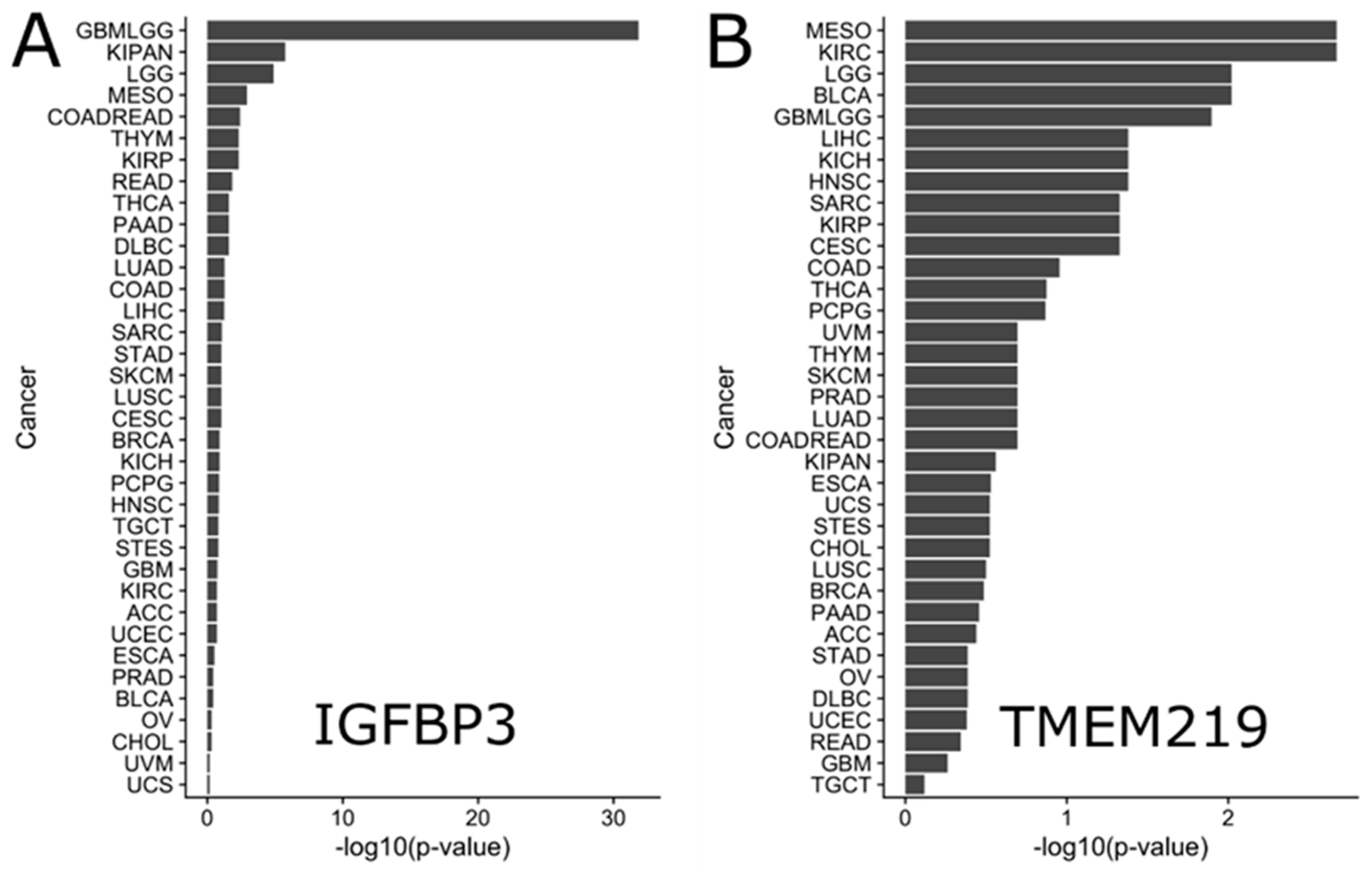 Cells 09 01261 g005 Cells 09 01261 g005