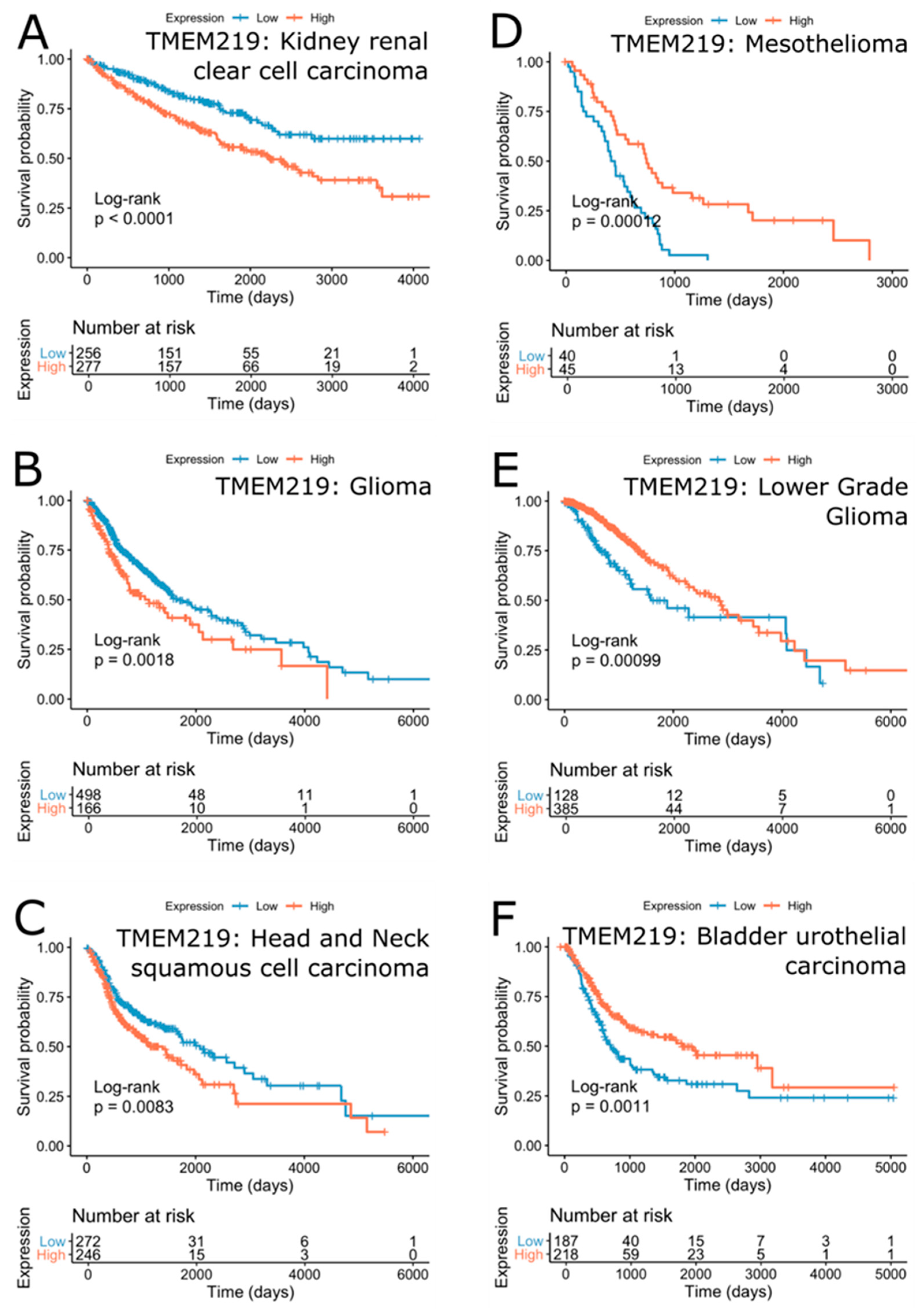 Cells 09 01261 g007 Cells 09 01261 g007