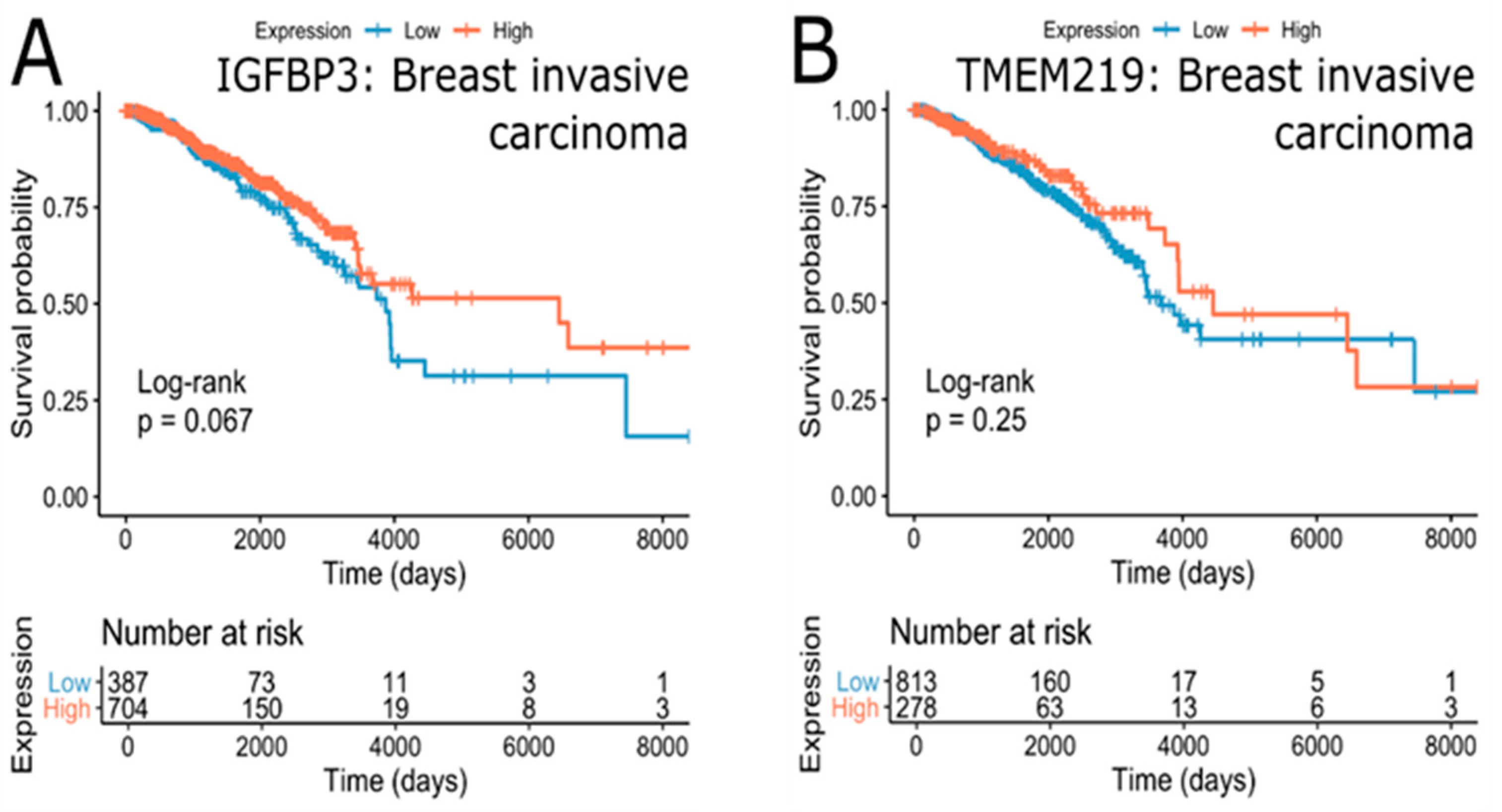 Cells 09 01261 g008 Cells 09 01261 g008
