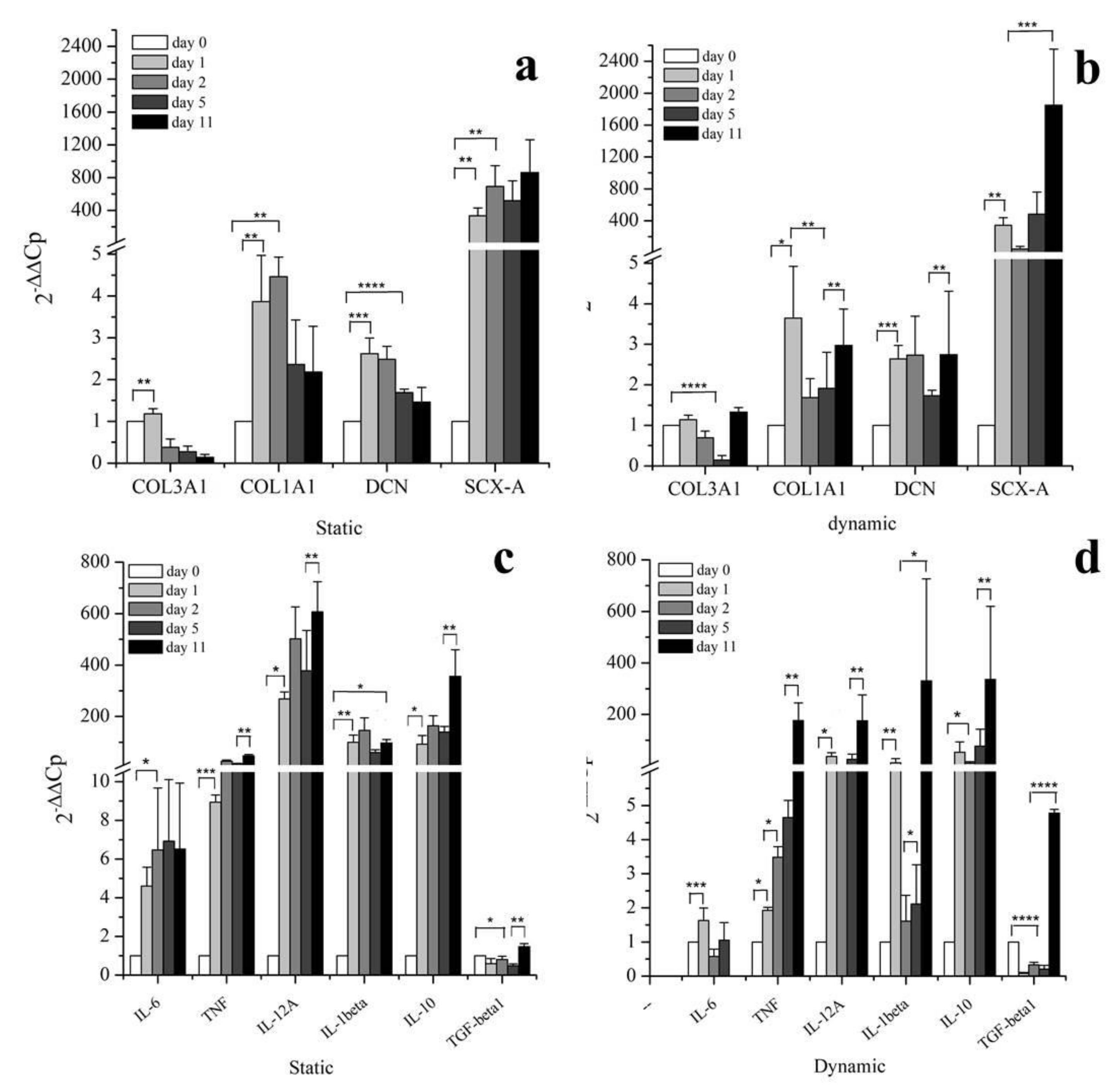 Cells 09 01268 g005 Cells 09 01268 g005