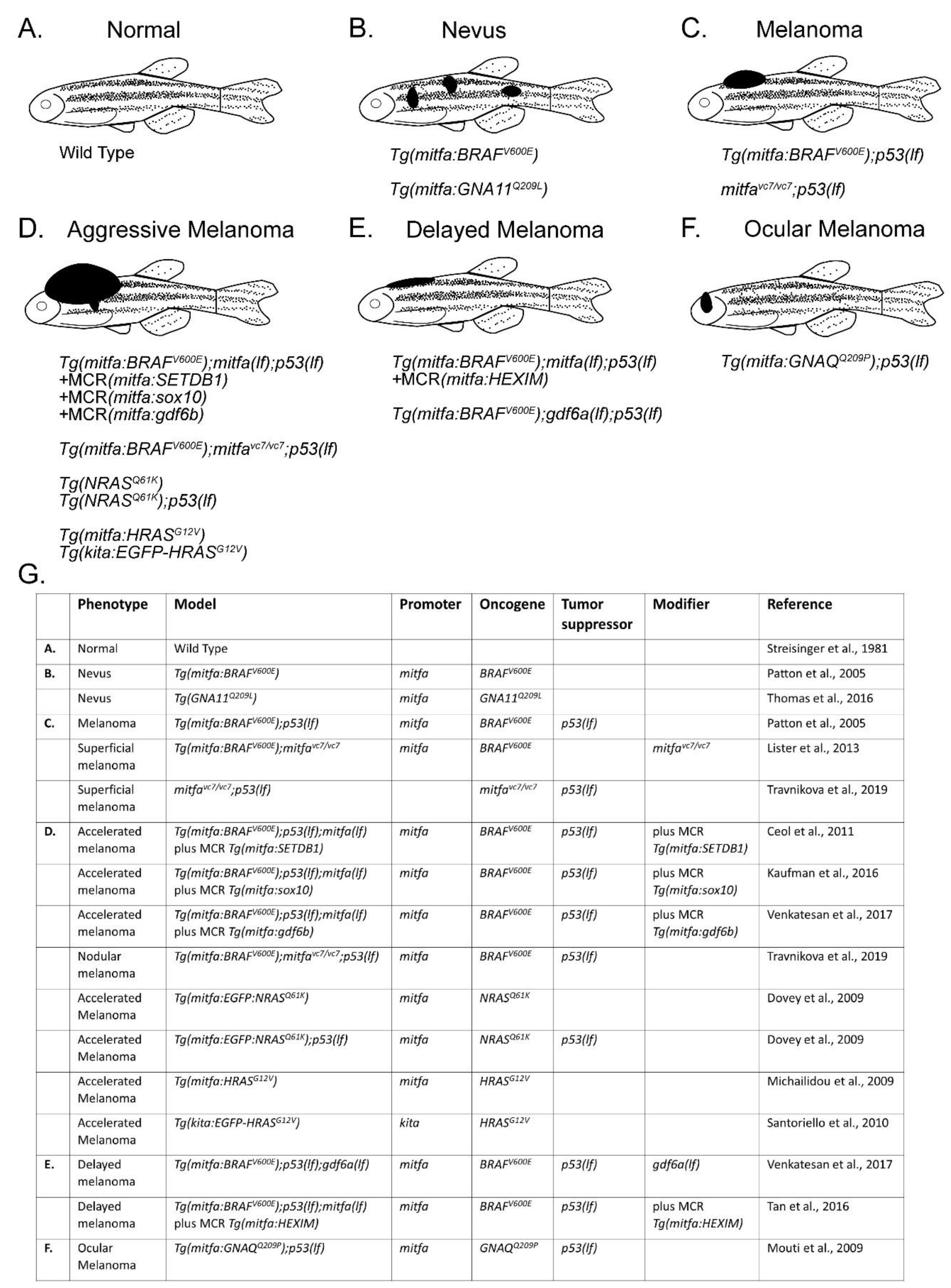 Cells 09 01289 g001 Cells 09 01289 g001