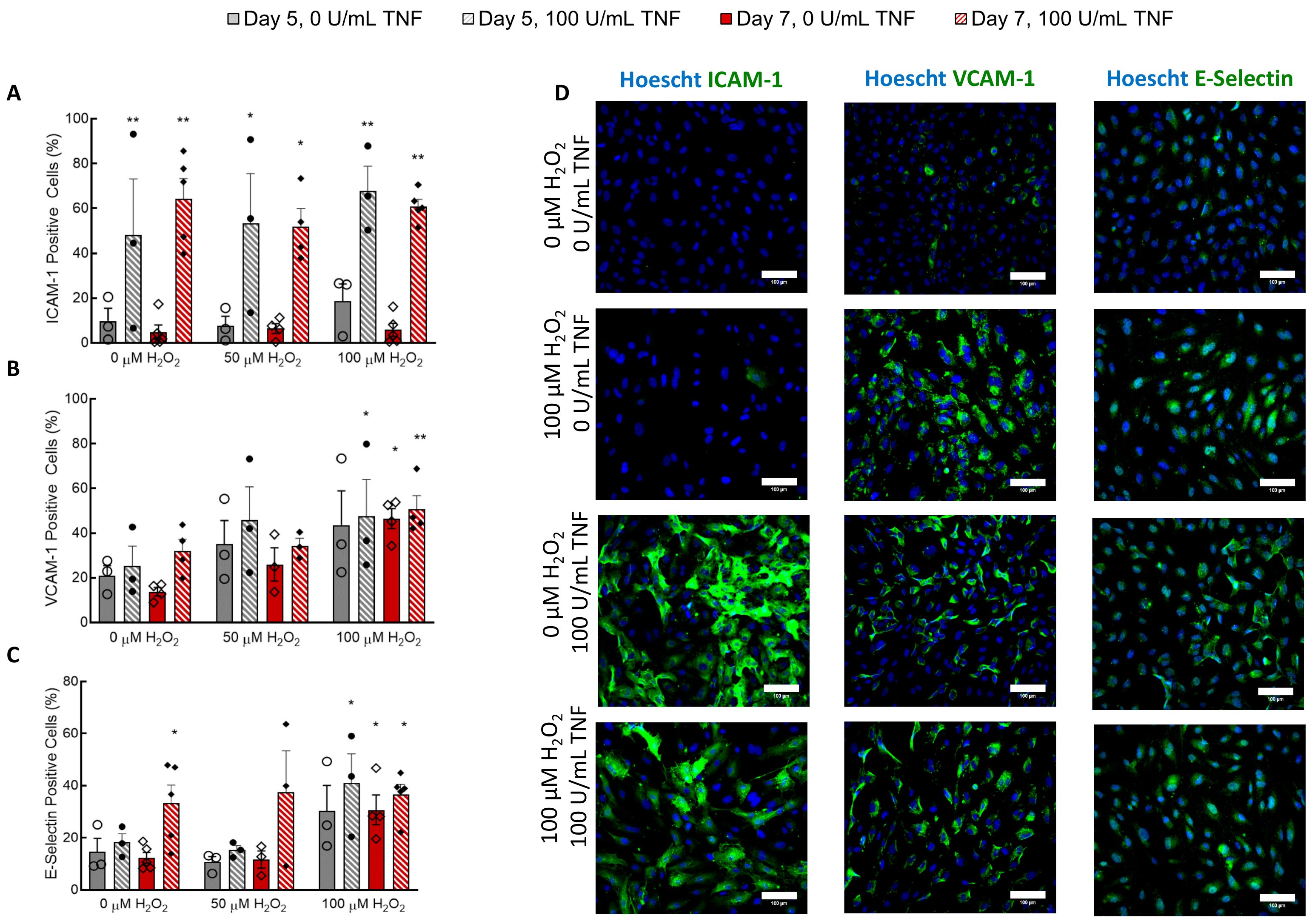 Cells 09 01292 g002 Cells 09 01292 g002