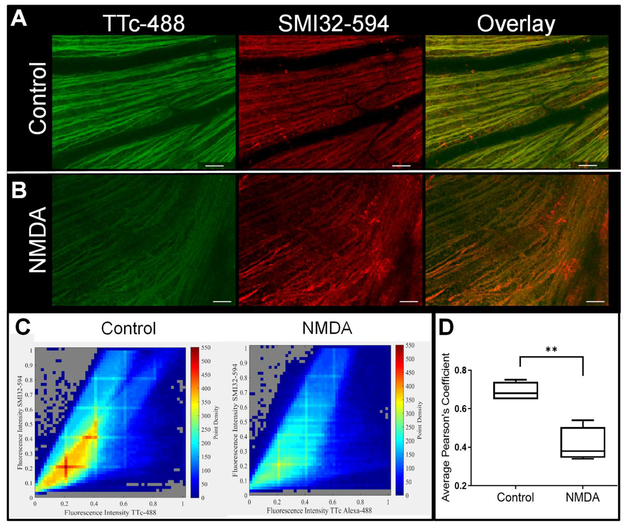 Cells 09 01298 g004 Cells 09 01298 g004