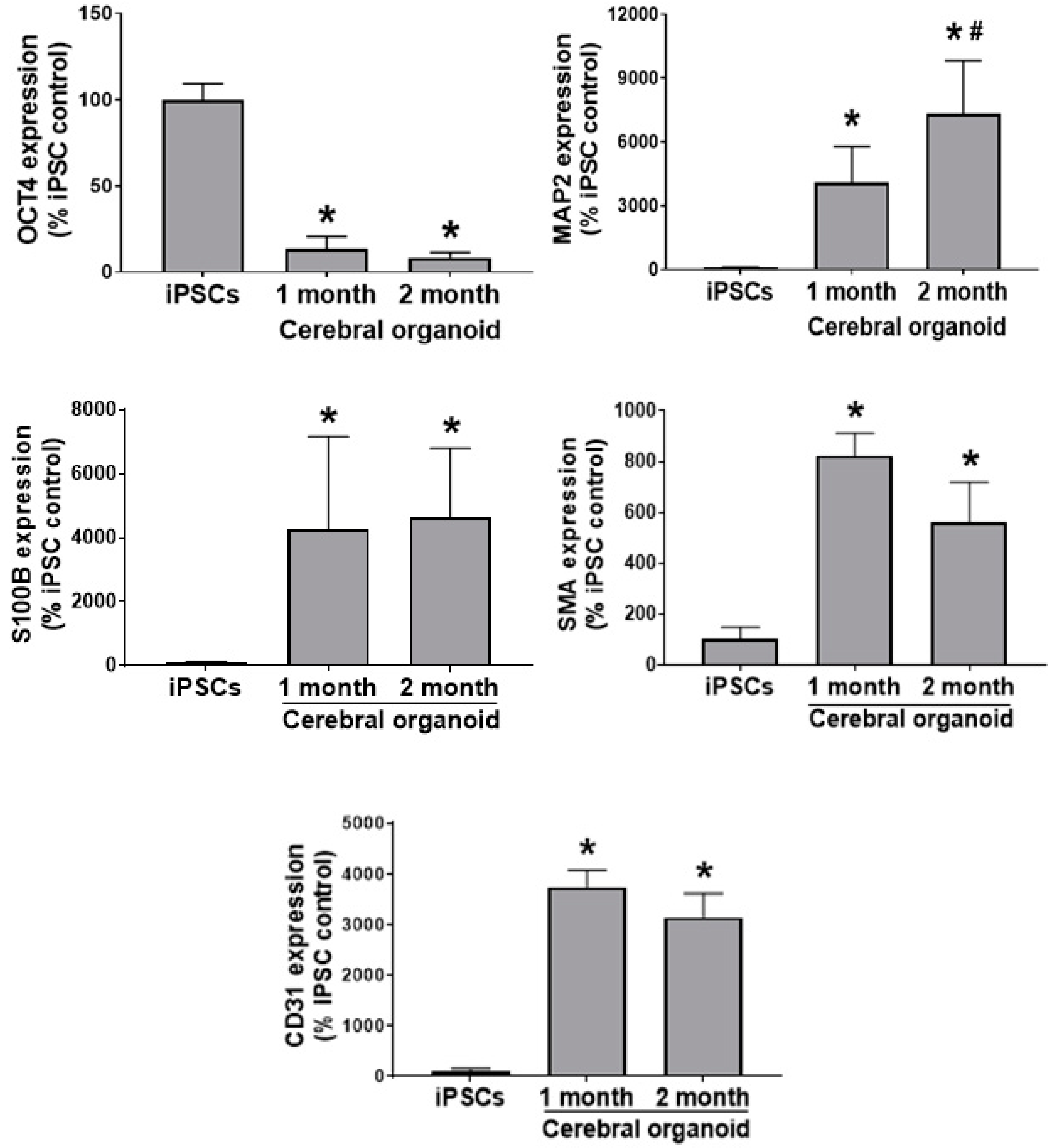 Cells 09 01301 g002 Cells 09 01301 g002