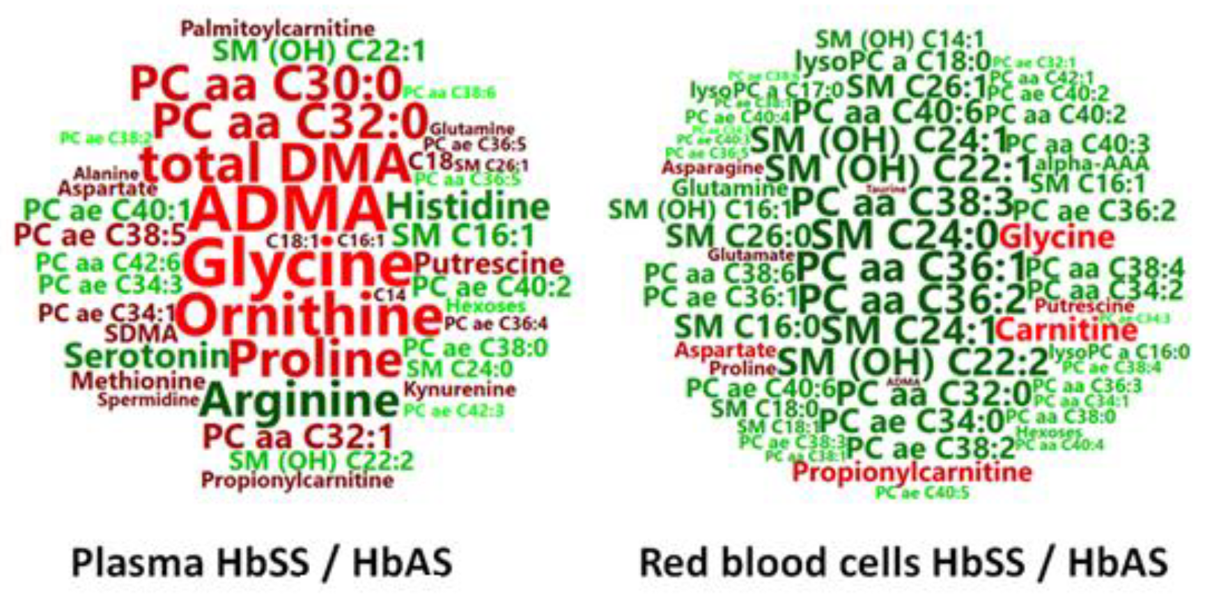 Cells 09 01334 g005