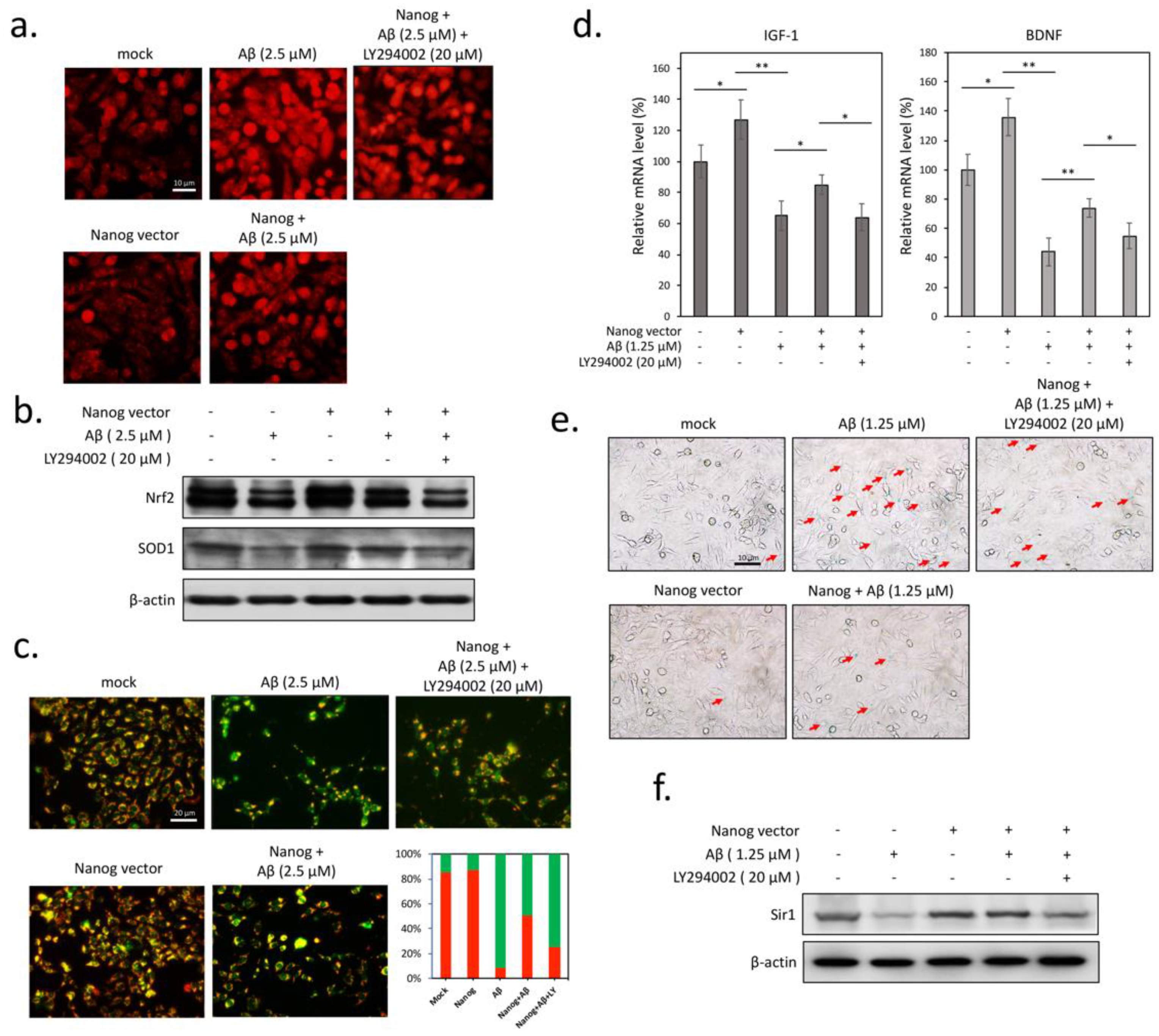 Cells 09 01339 g003 Cells 09 01339 g003
