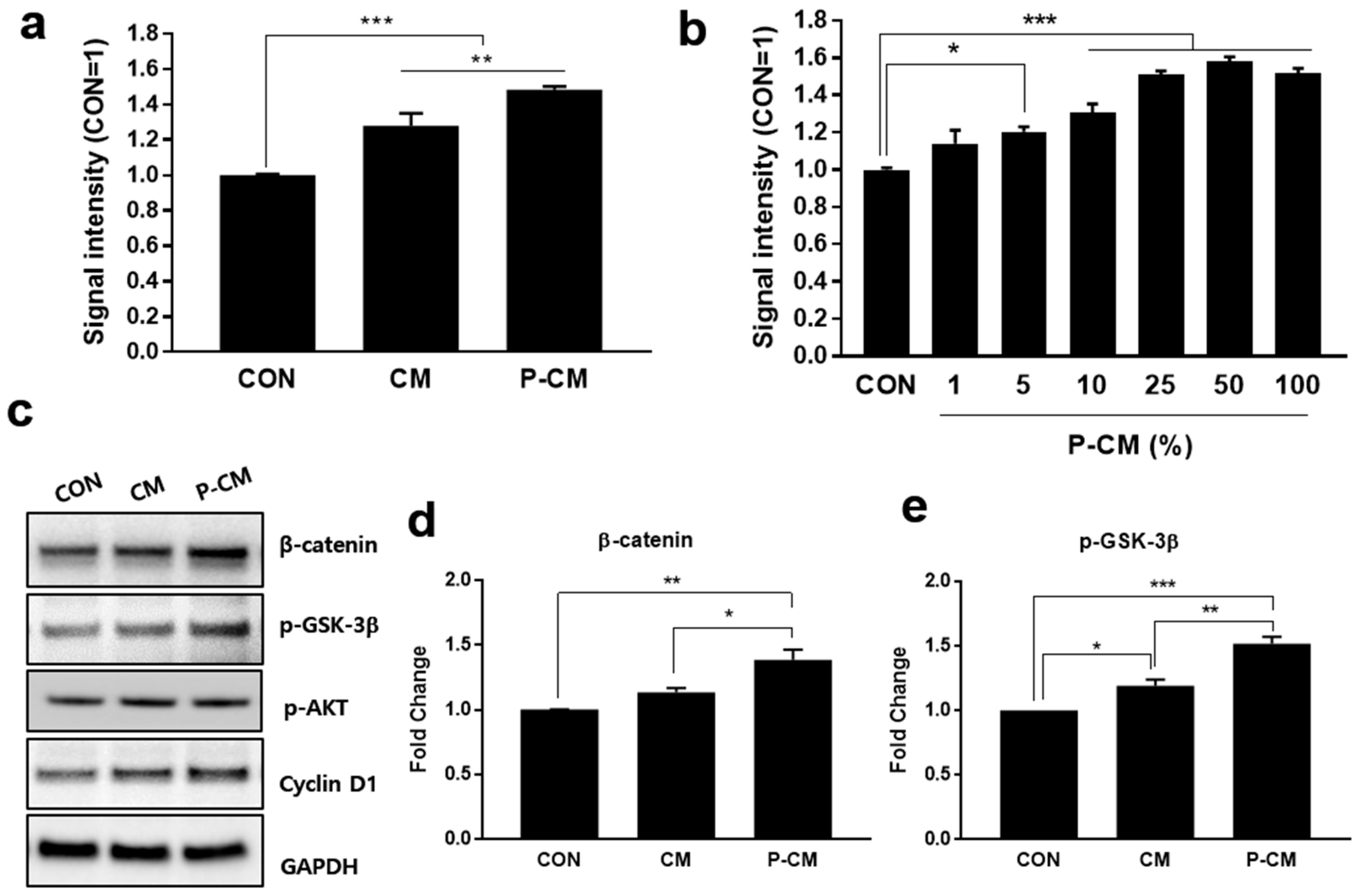 Cells 09 01344 g001 Cells 09 01344 g001