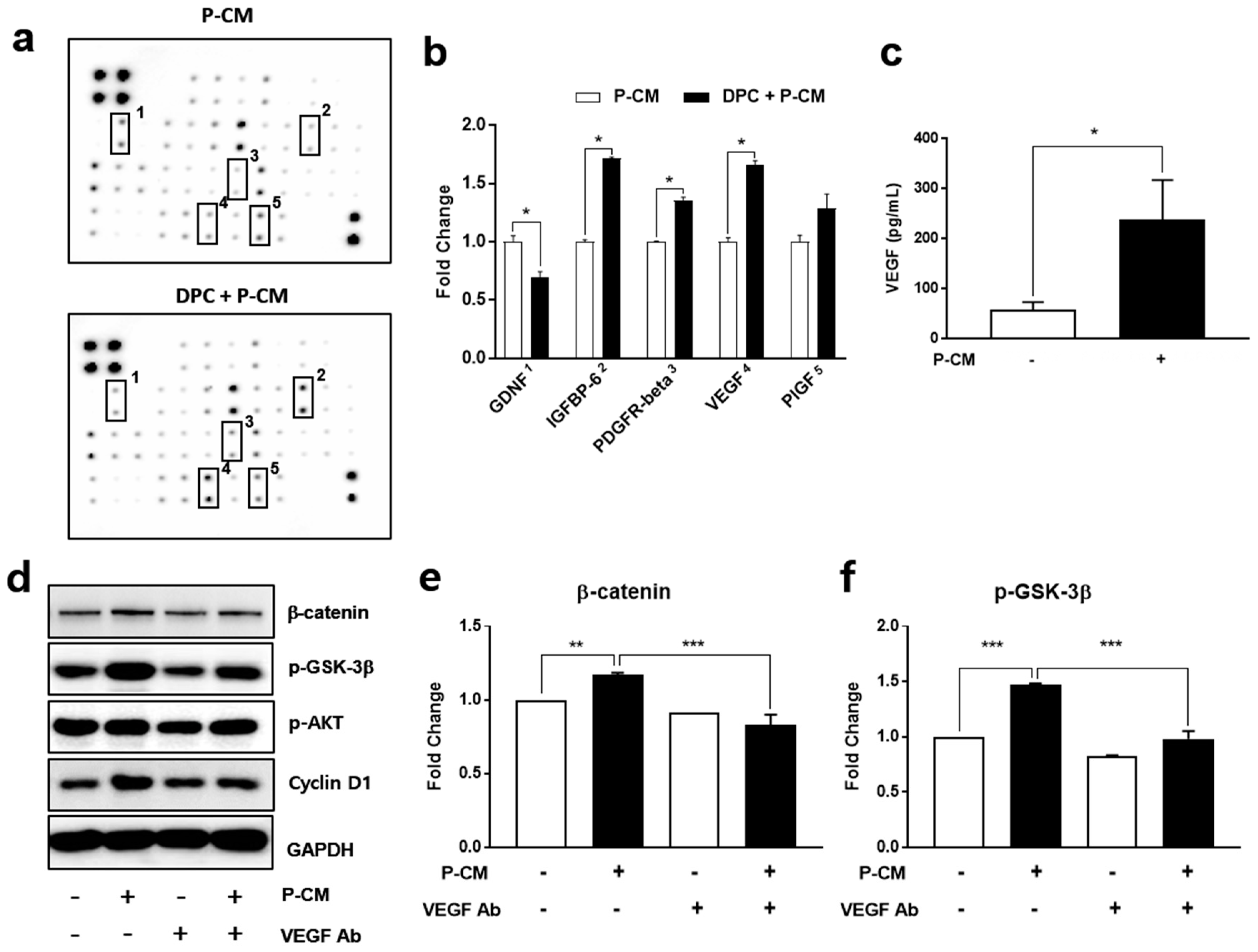 Cells 09 01344 g002 Cells 09 01344 g002