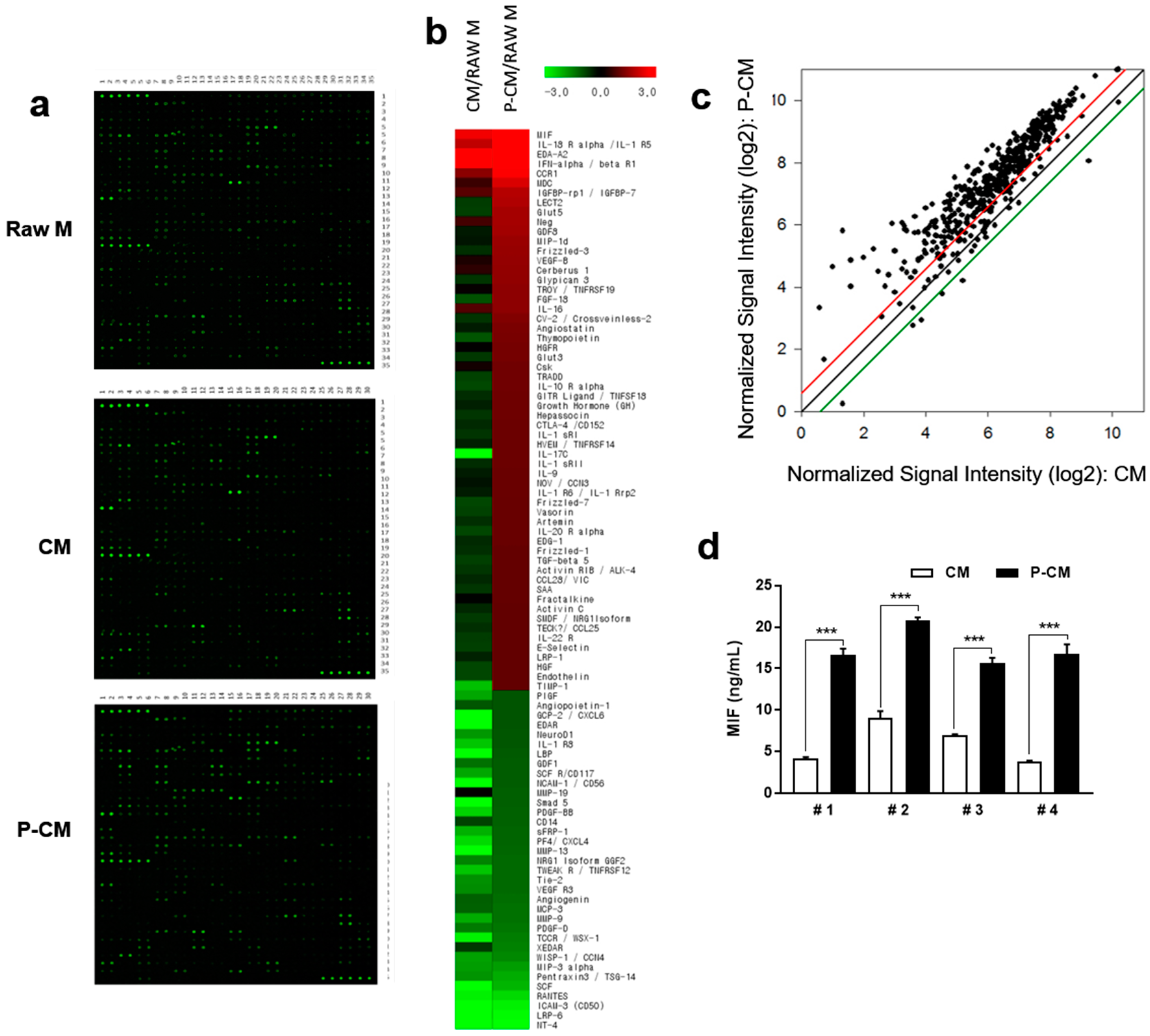 Cells 09 01344 g003 Cells 09 01344 g003