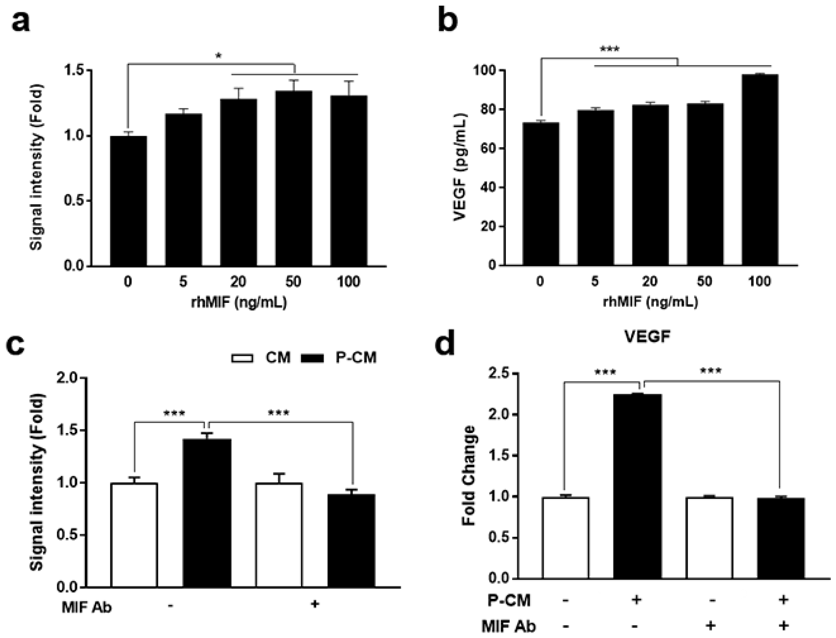 Cells 09 01344 g004 Cells 09 01344 g004