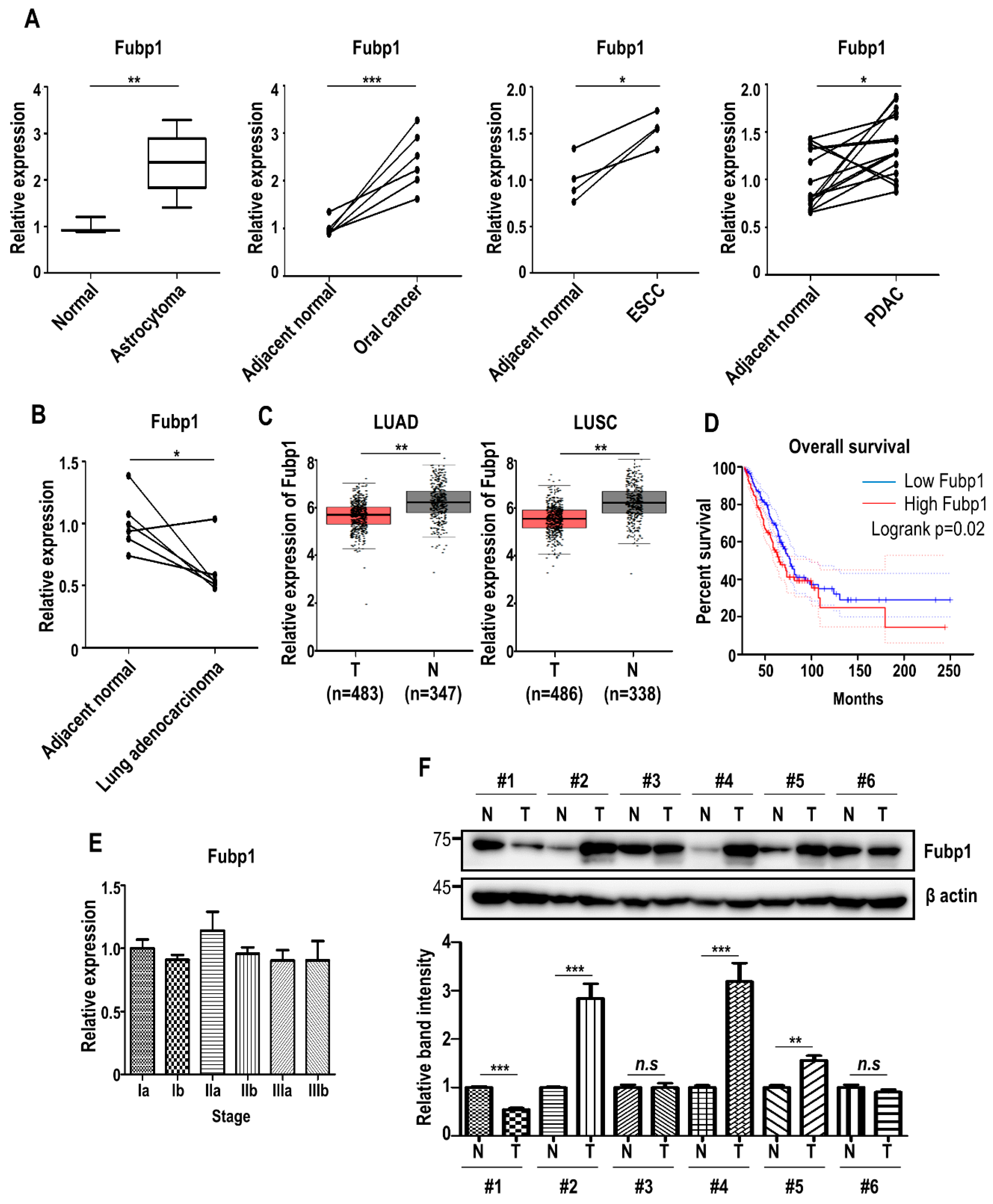 Cells 09 01347 g003