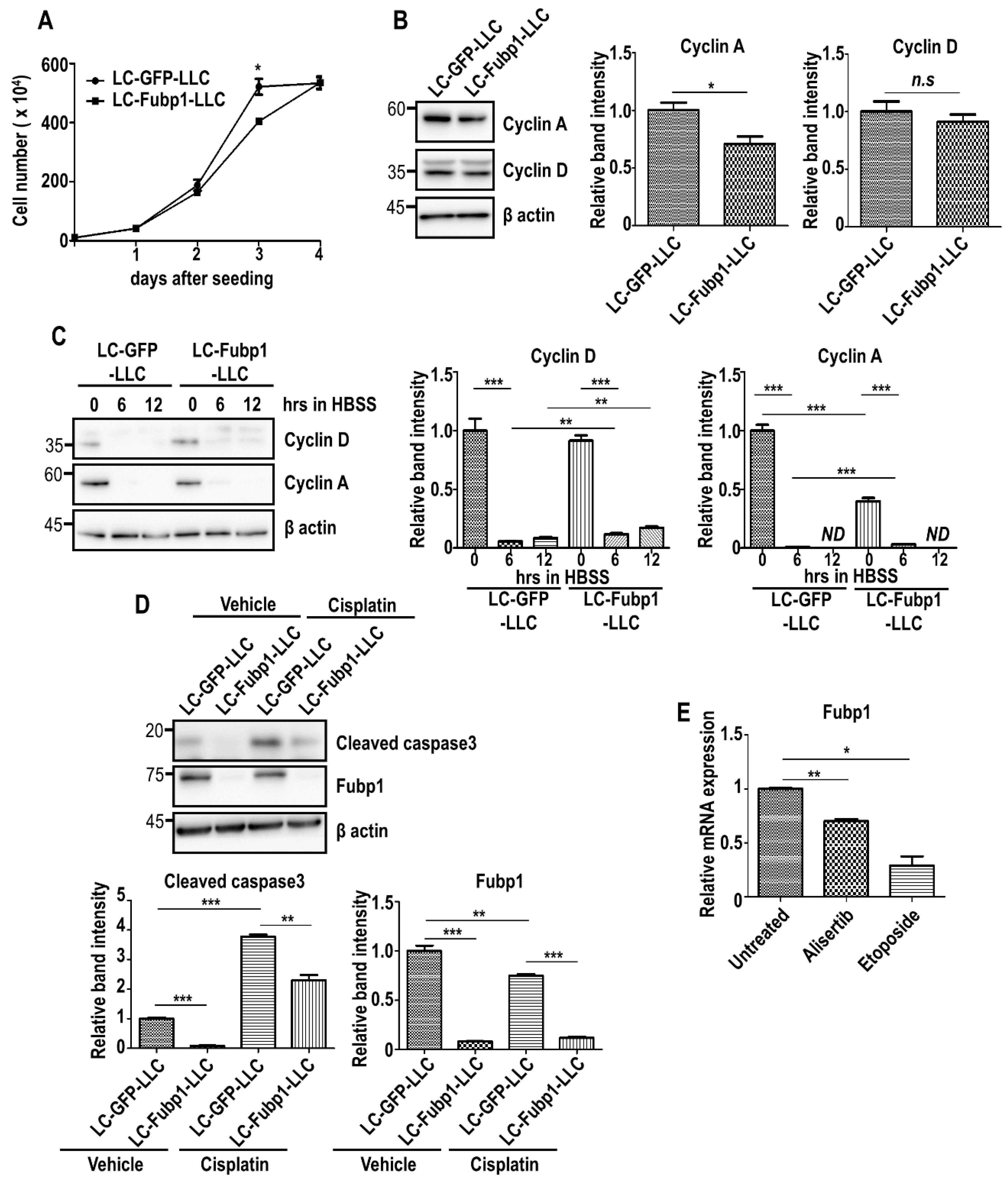 Cells 09 01347 g004