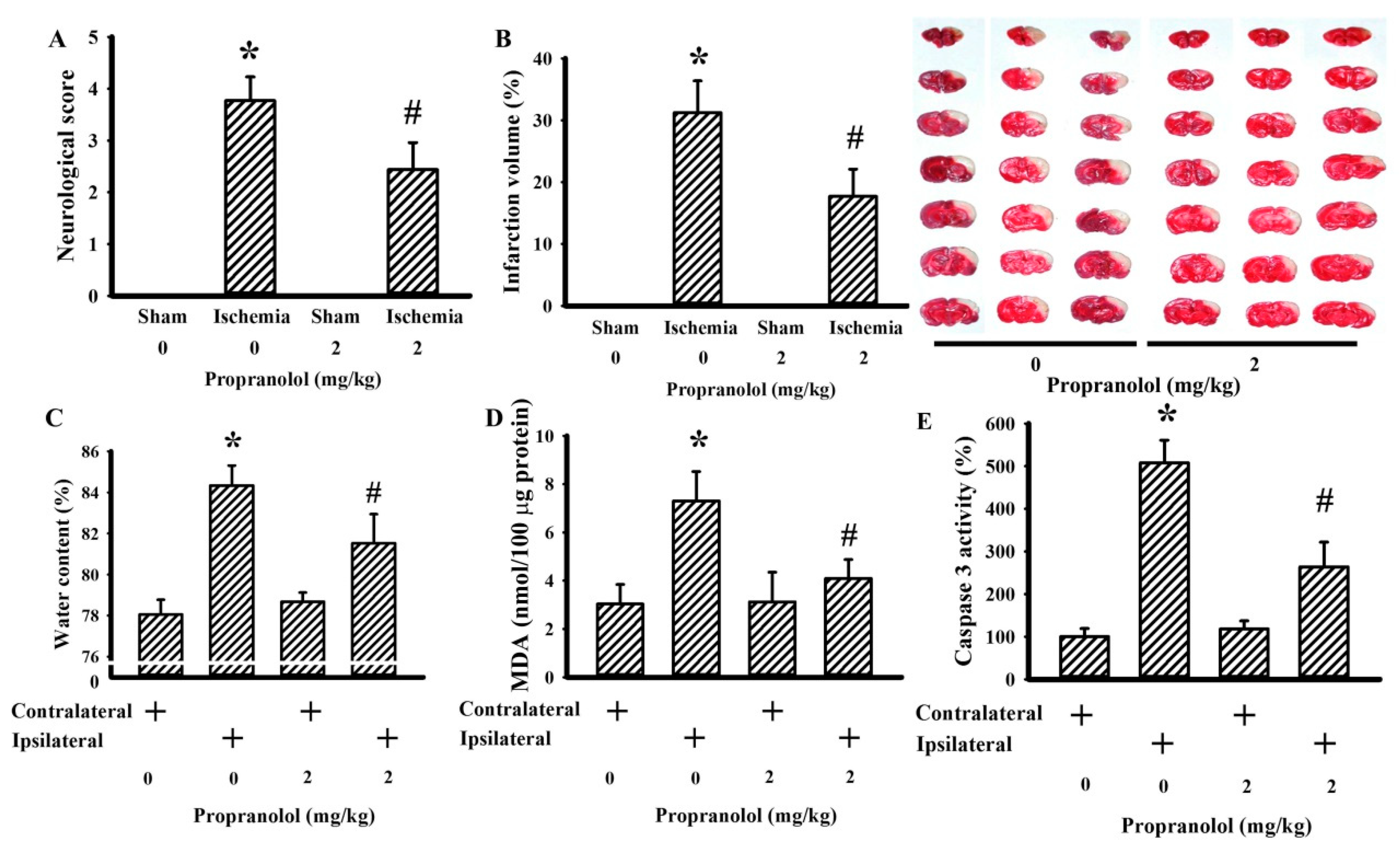 Cells 09 01373 g002 Cells 09 01373 g002