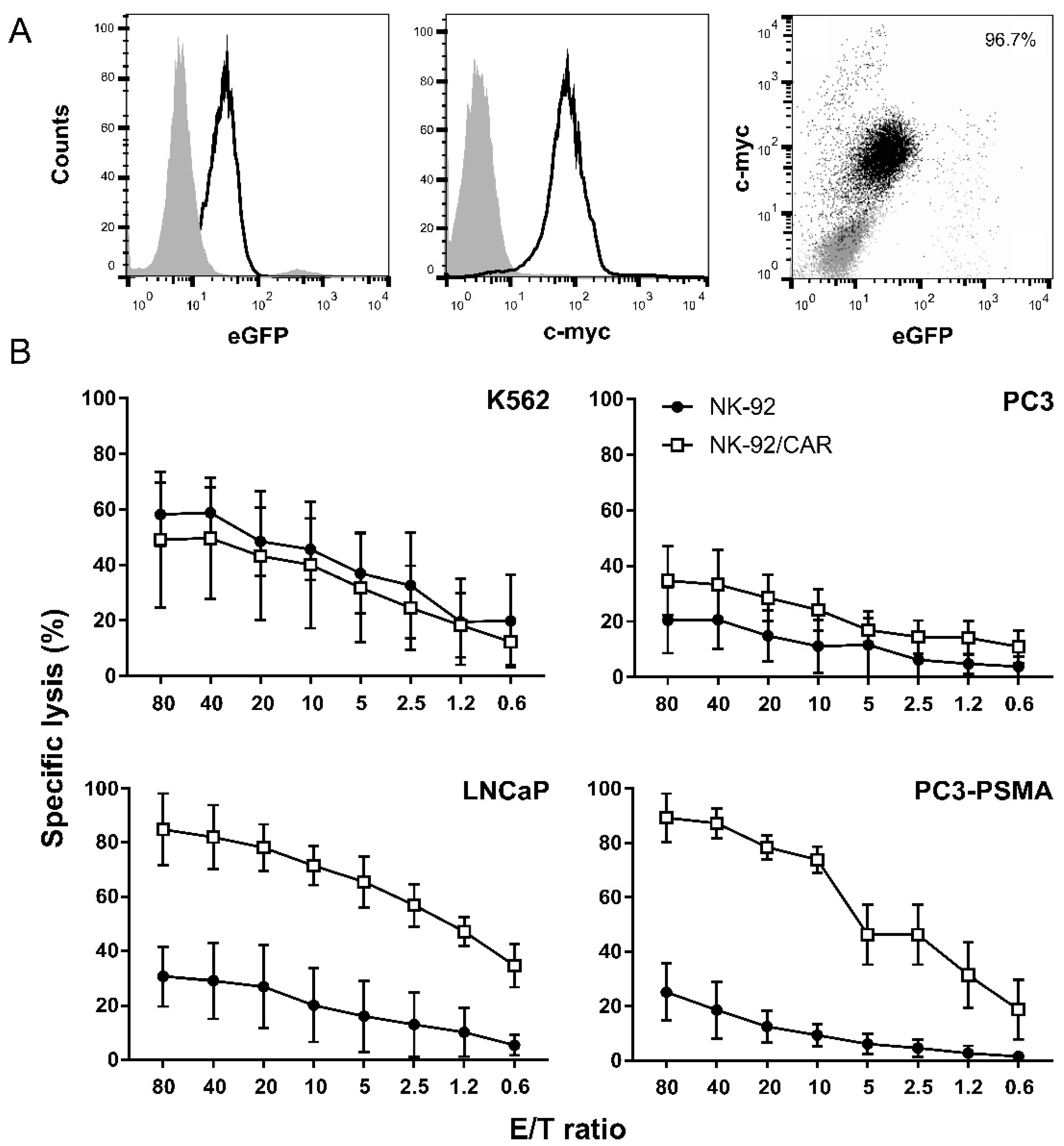 Cells 09 01382 g001 Cells 09 01382 g001