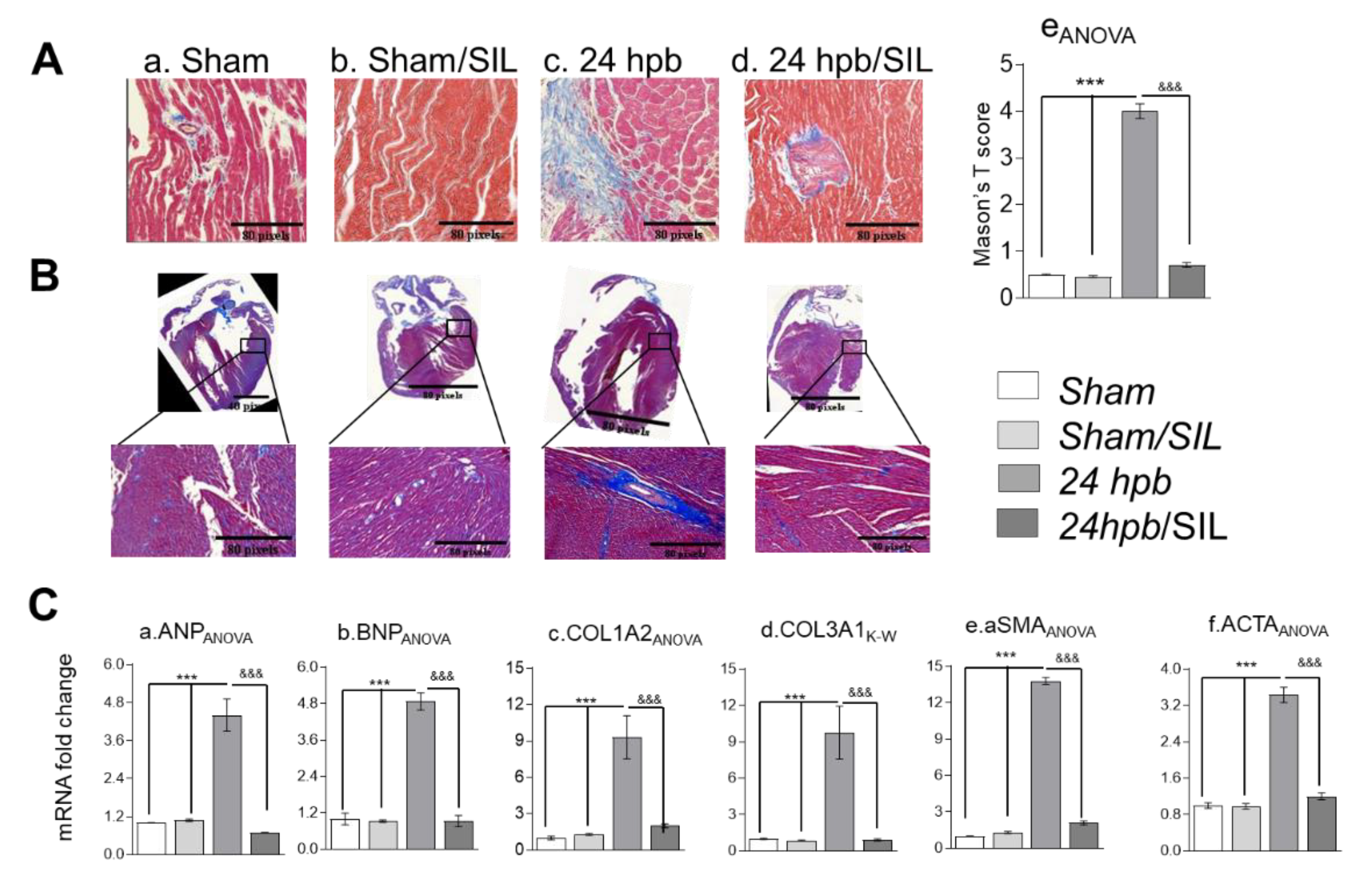 Cells 09 01393 g003
