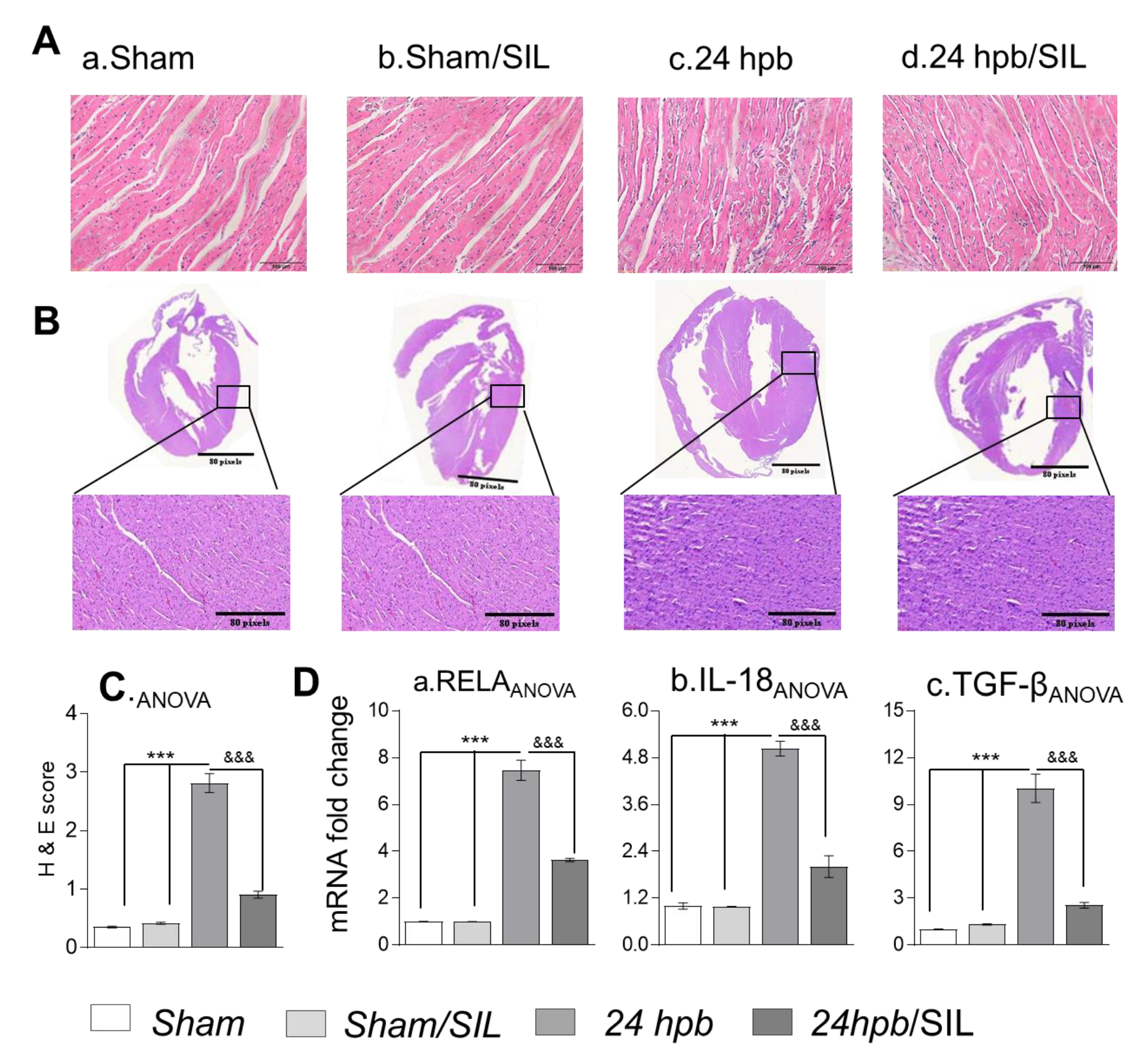 Cells 09 01393 g004