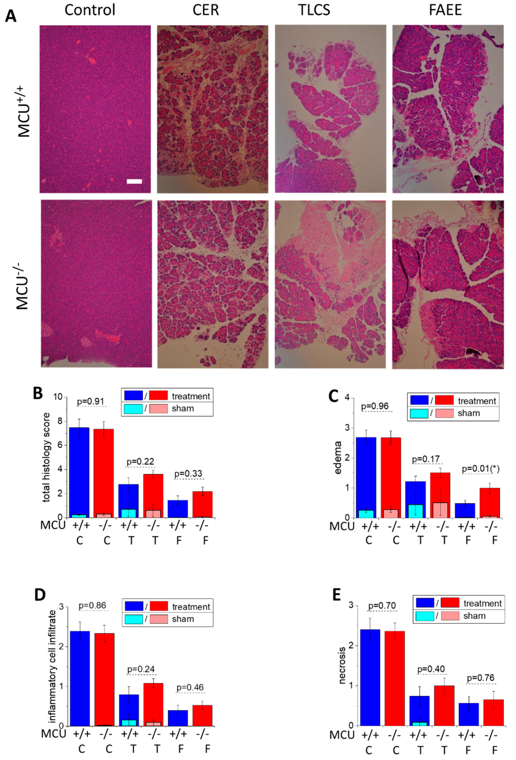 Cells 09 01407 g003