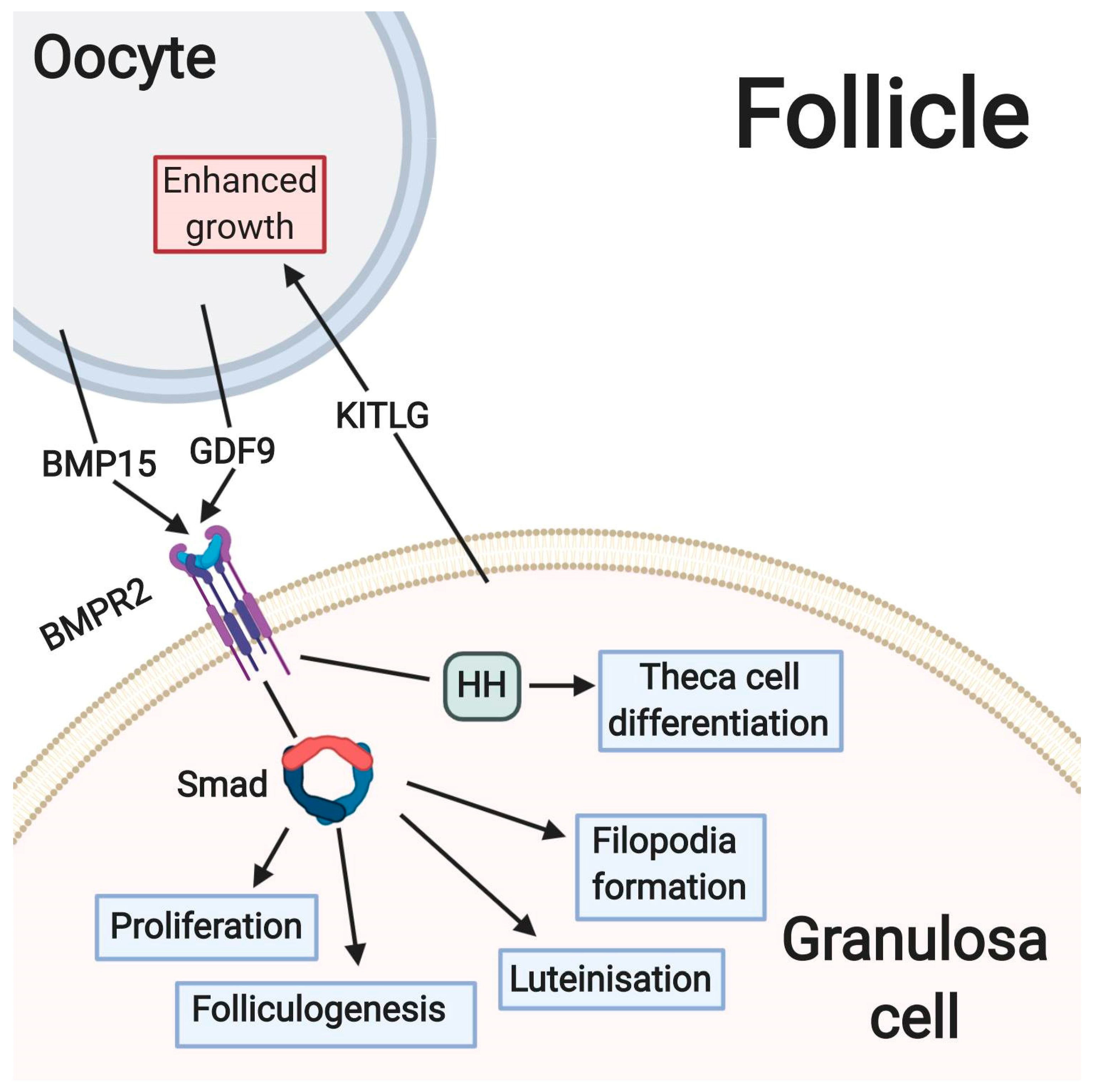 Cells 09 01418 g002 Cells 09 01418 g002