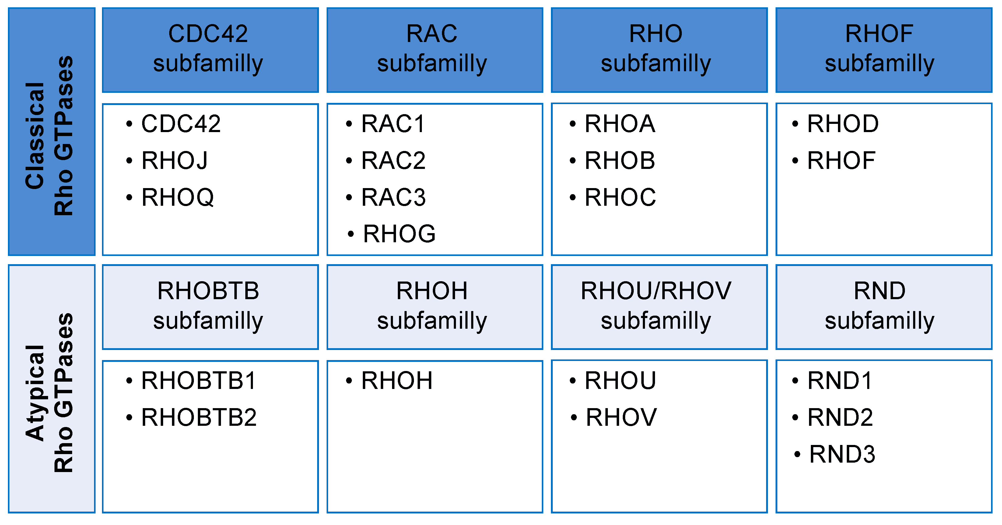Cells 09 01430 g001 Cells 09 01430 g001