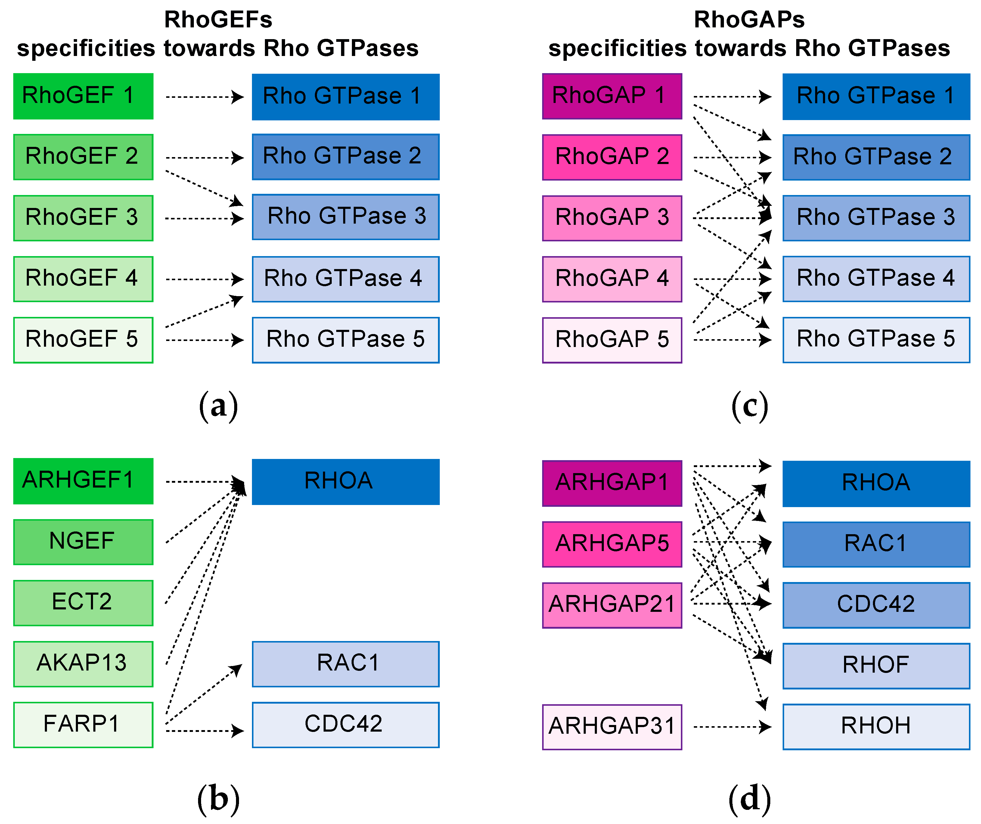 Cells 09 01430 g003 Cells 09 01430 g003