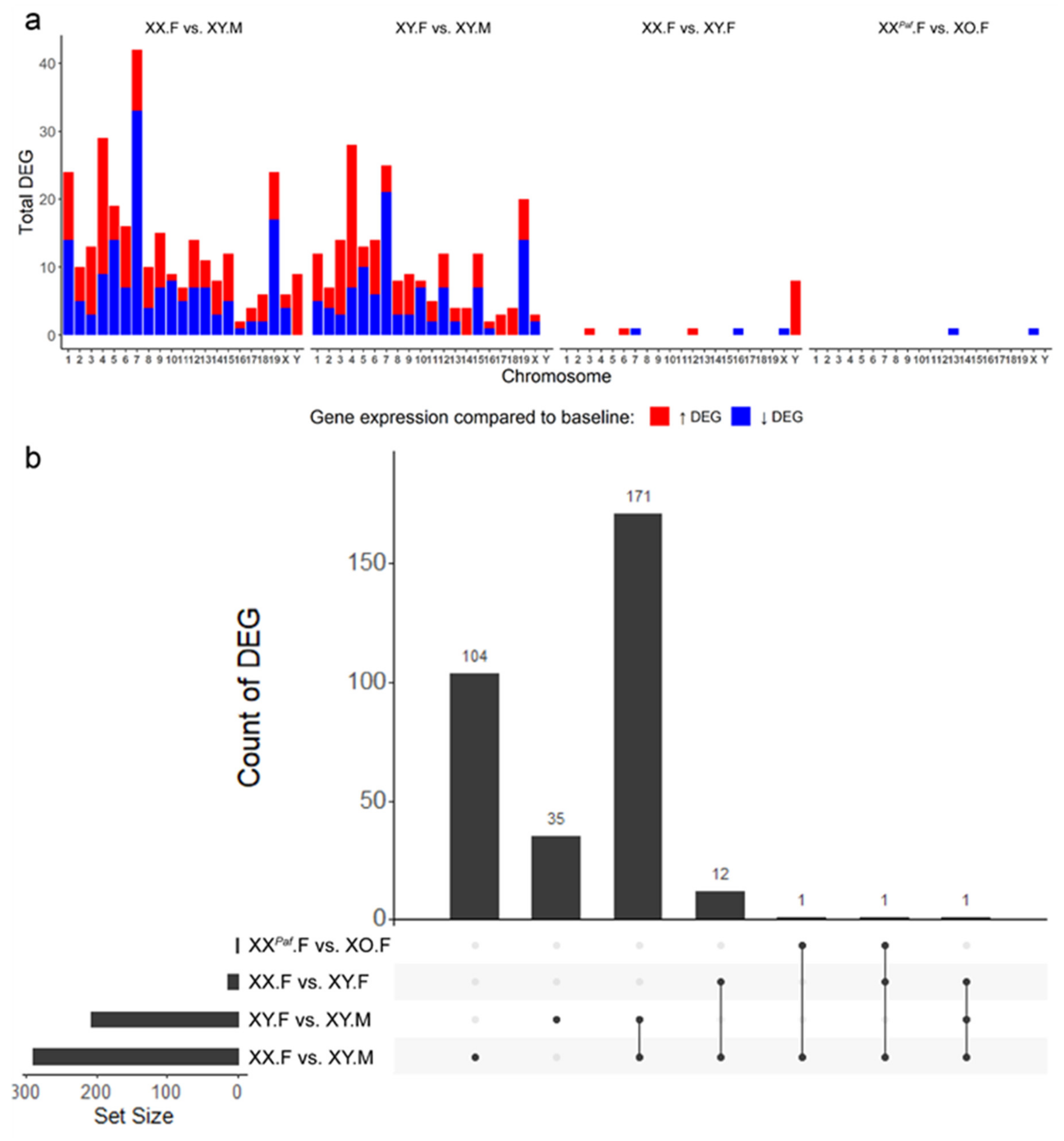 Cells 09 01436 g005 Cells 09 01436 g005