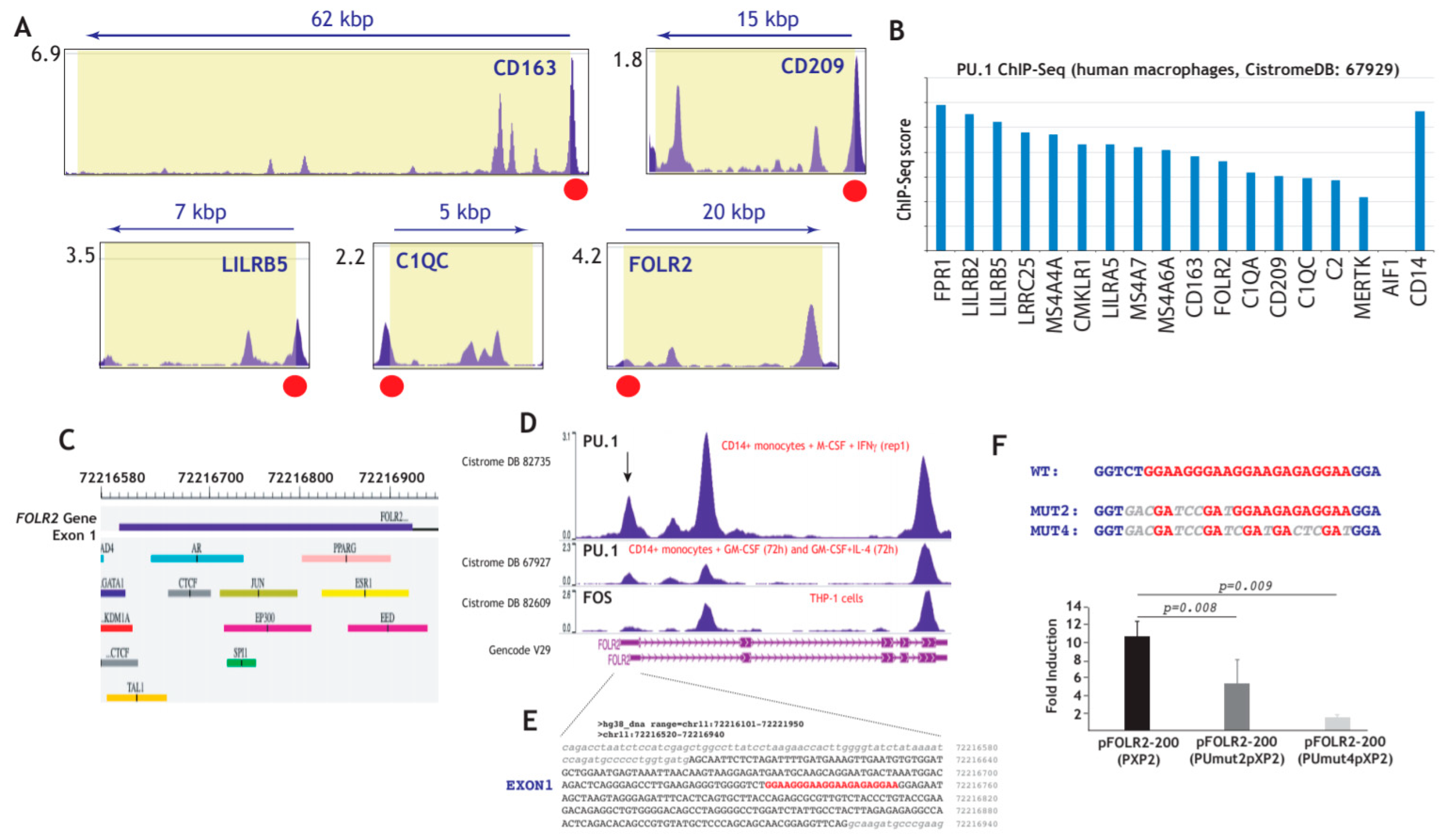 Cells 09 01445 g004 Cells 09 01445 g004