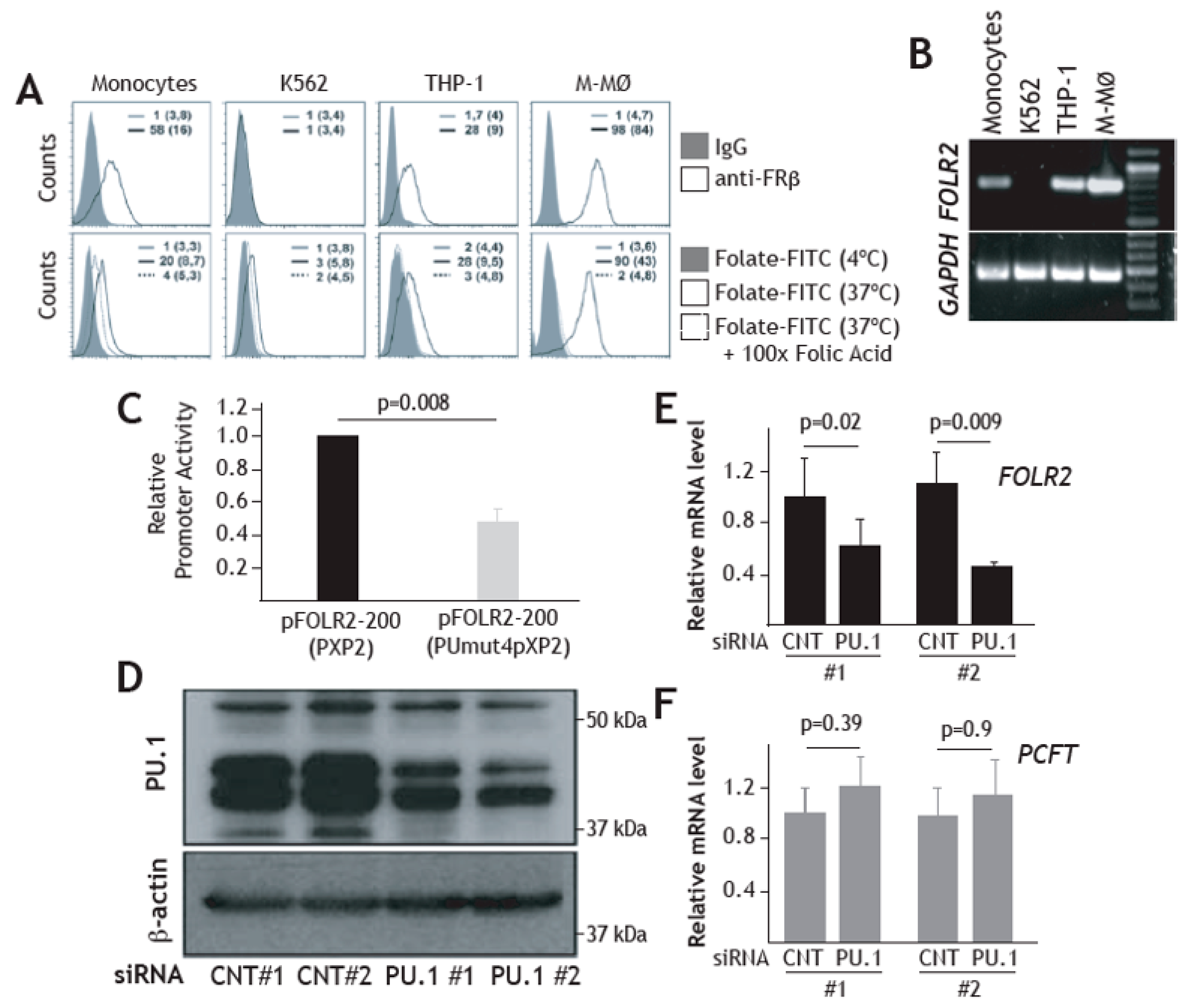 Cells 09 01445 g005 Cells 09 01445 g005