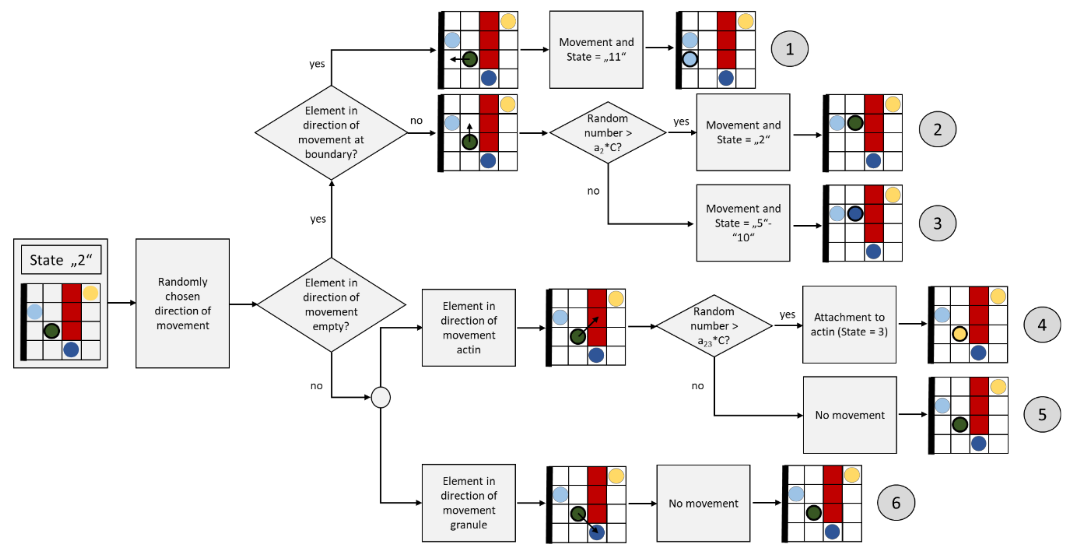Cells 09 01487 g010 Cells 09 01487 g010