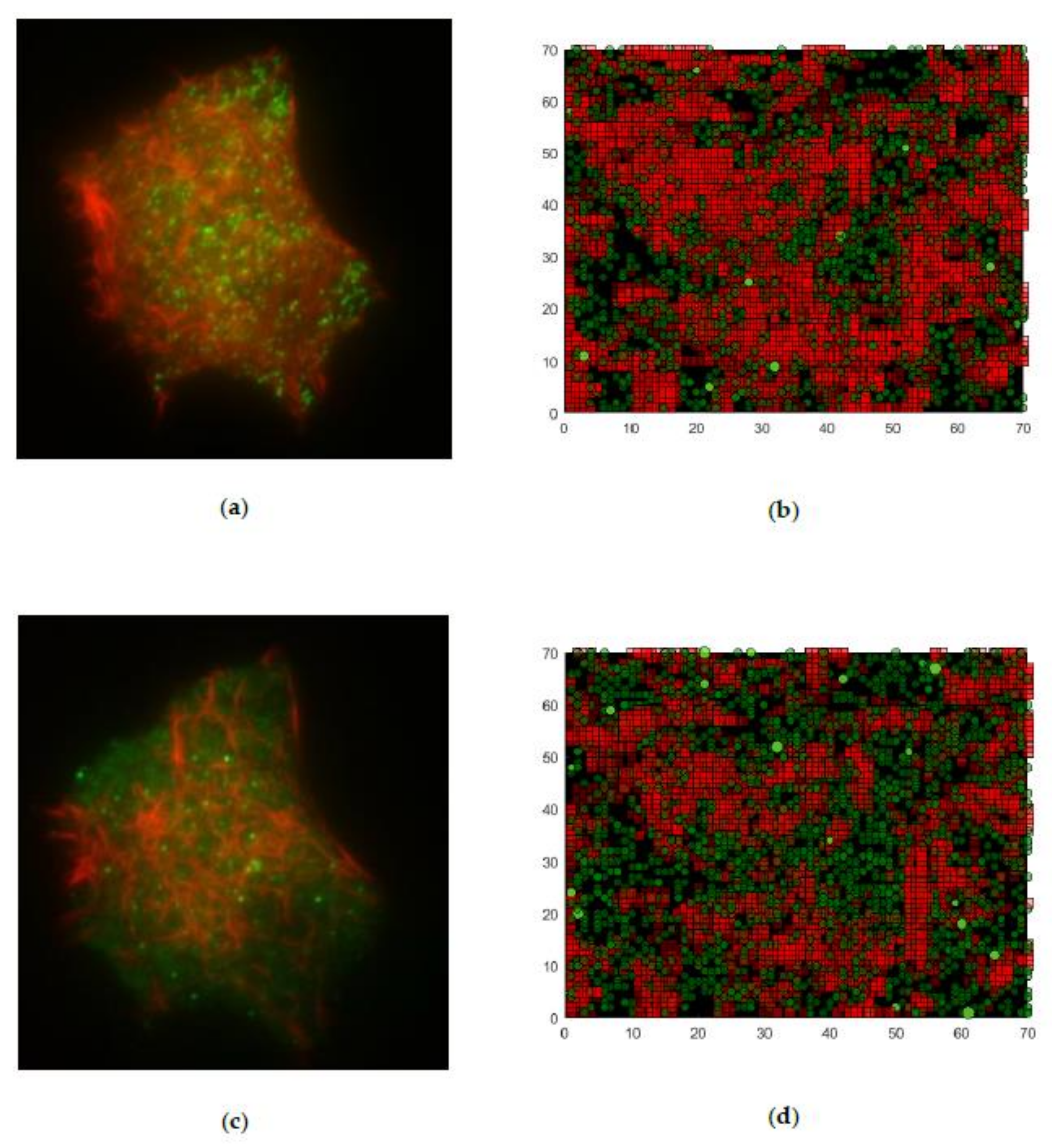 Cells 09 01487 g020 Cells 09 01487 g020