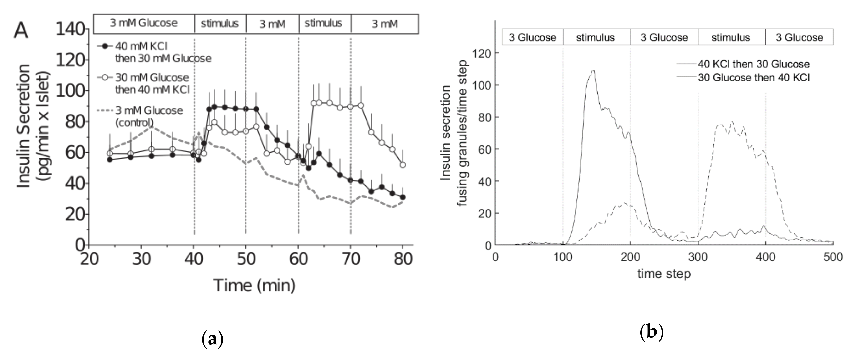 Cells 09 01487 g021 Cells 09 01487 g021