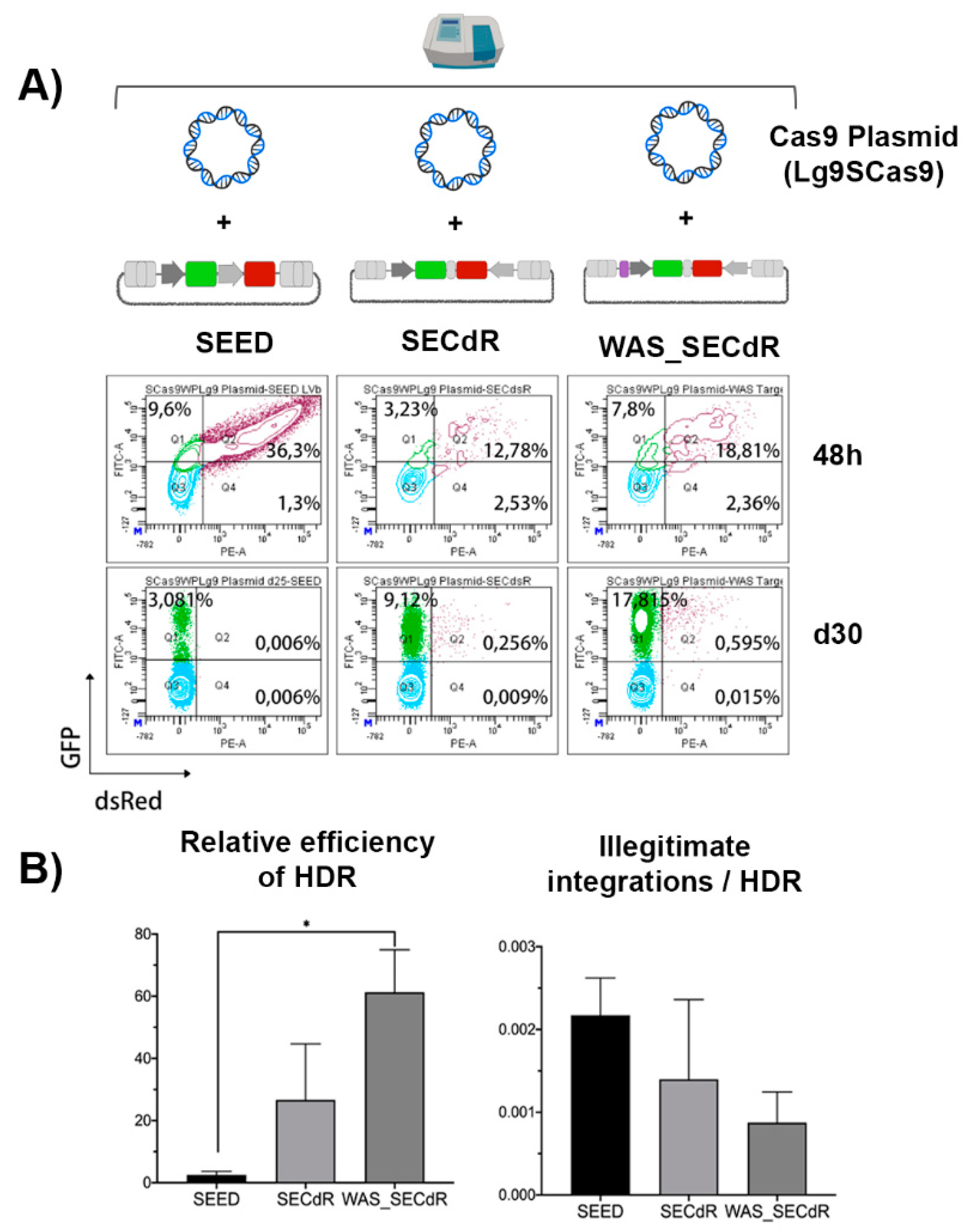 Cells 09 01492 g005 Cells 09 01492 g005