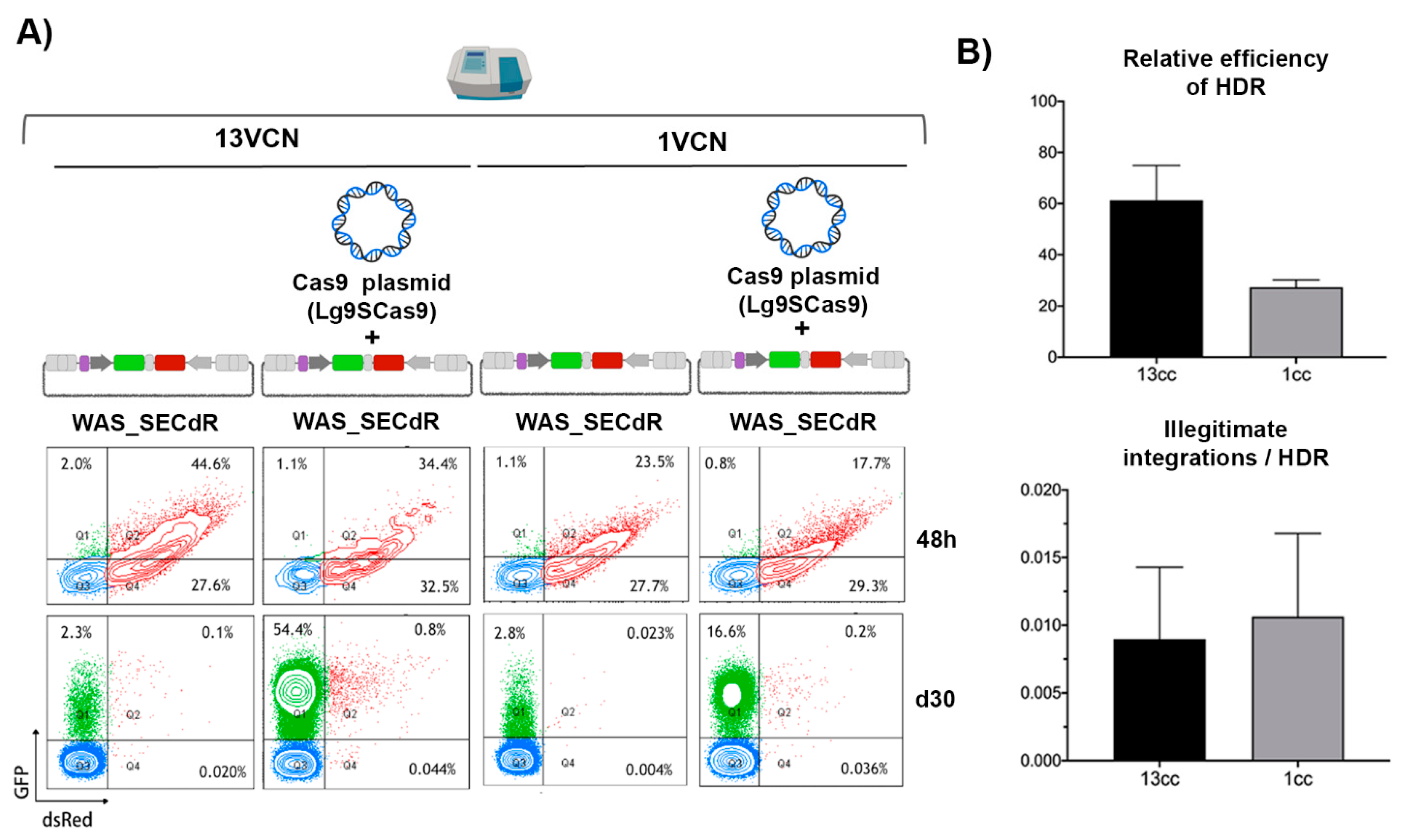 Cells 09 01492 g006 Cells 09 01492 g006