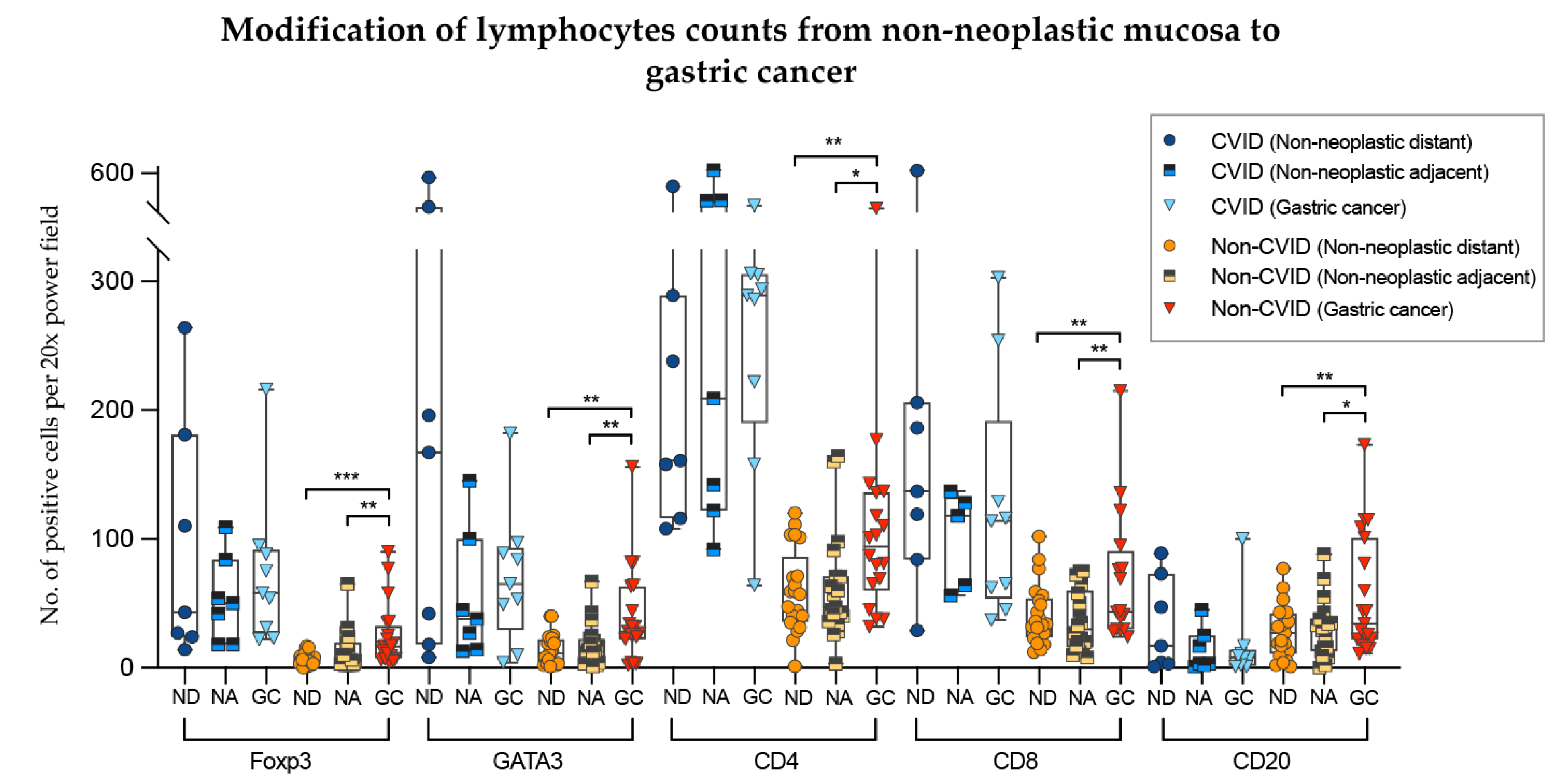 Cells 09 01498 g007 Cells 09 01498 g007