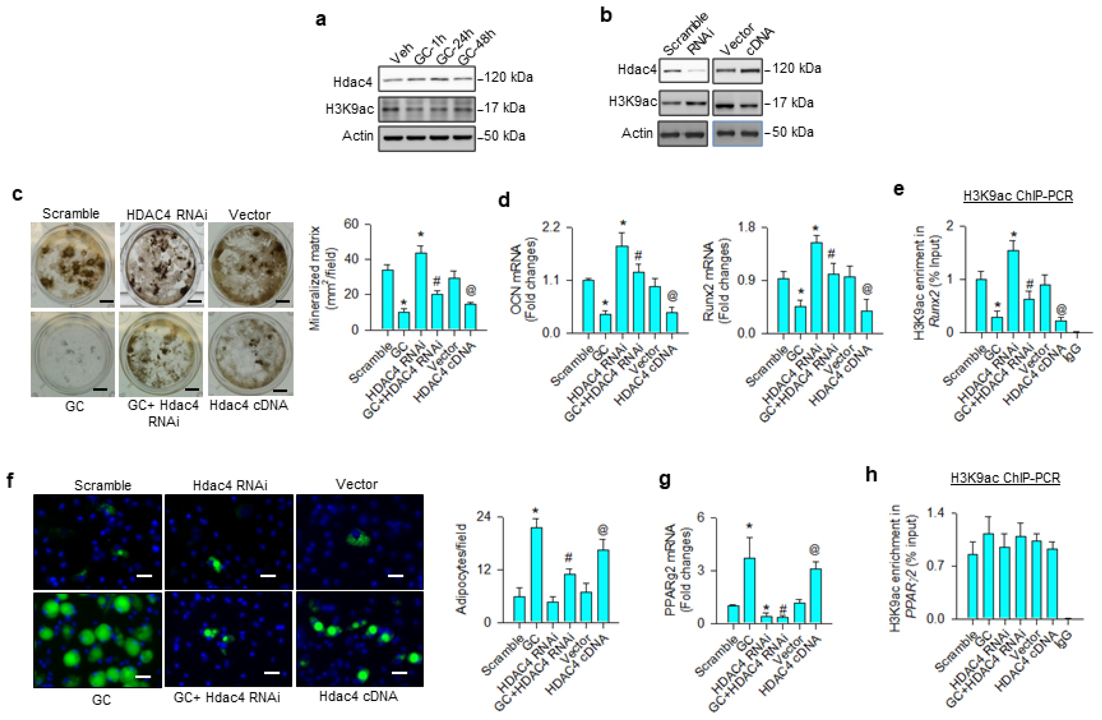 Cells 09 01500 g001 Cells 09 01500 g001