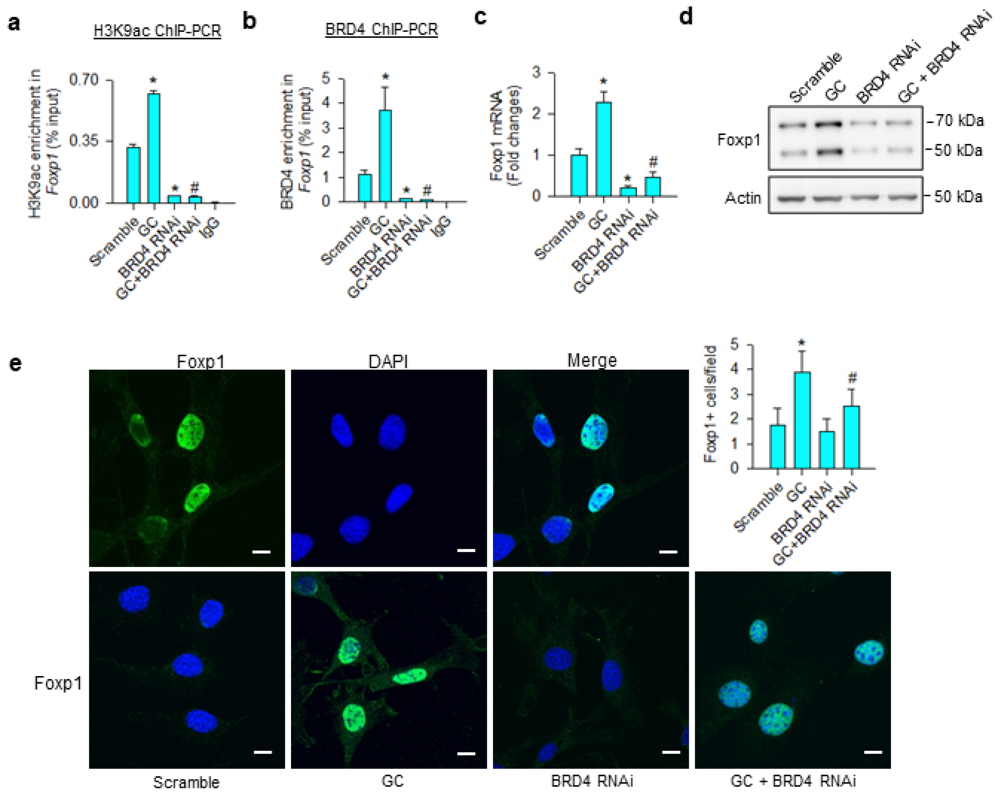 Cells 09 01500 g004 Cells 09 01500 g004