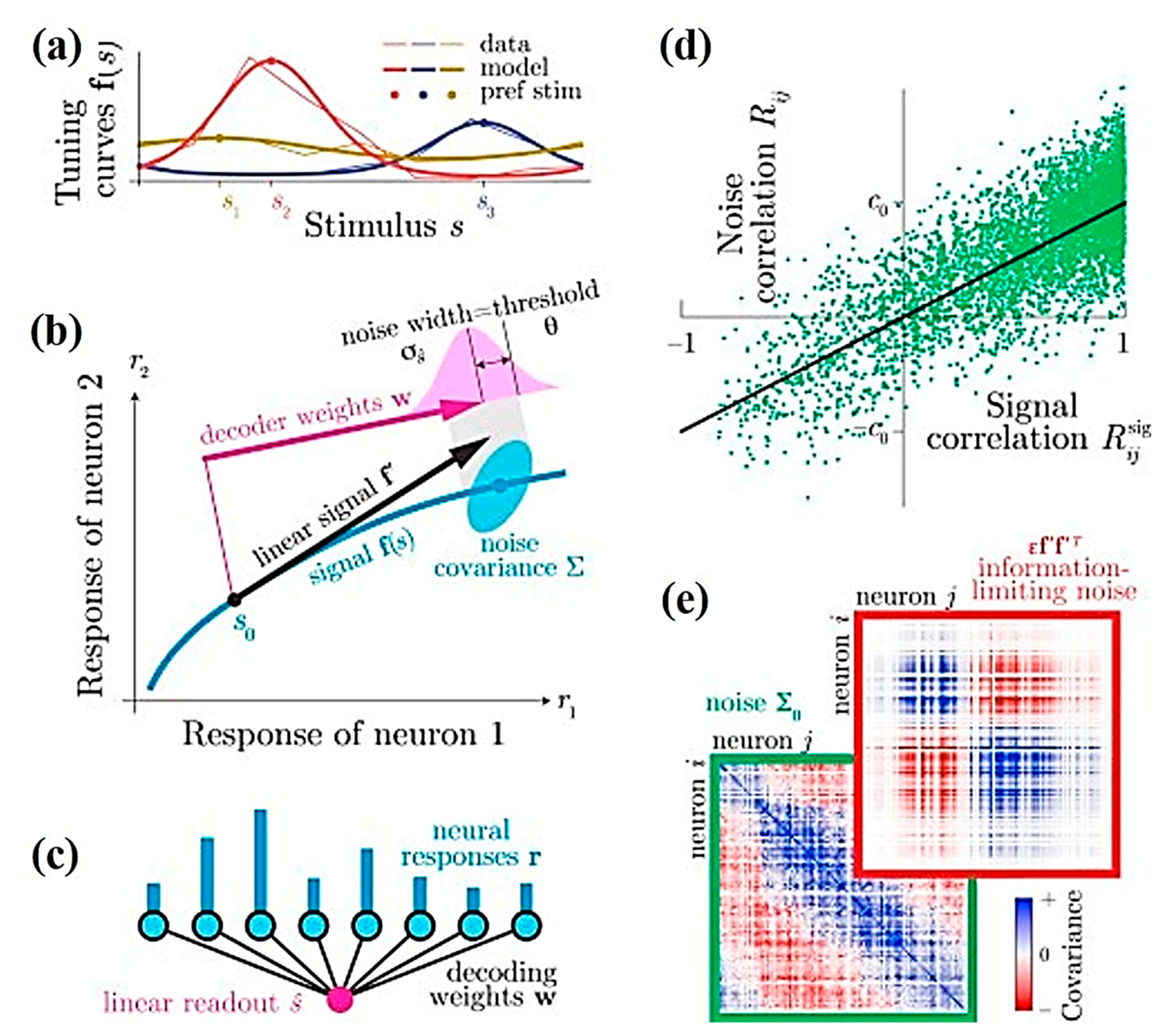 Cells 09 01528 g001 Cells 09 01528 g001