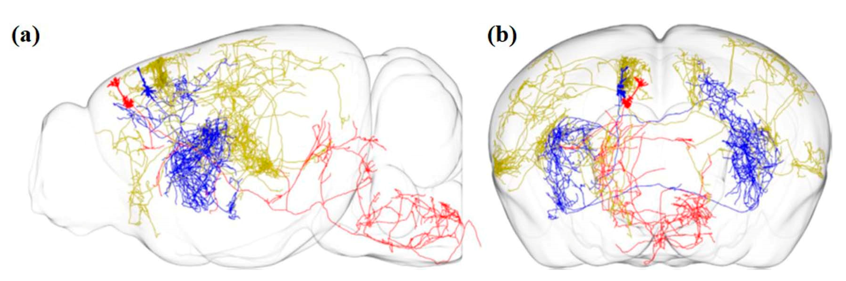 Cells 09 01528 g004 Cells 09 01528 g004