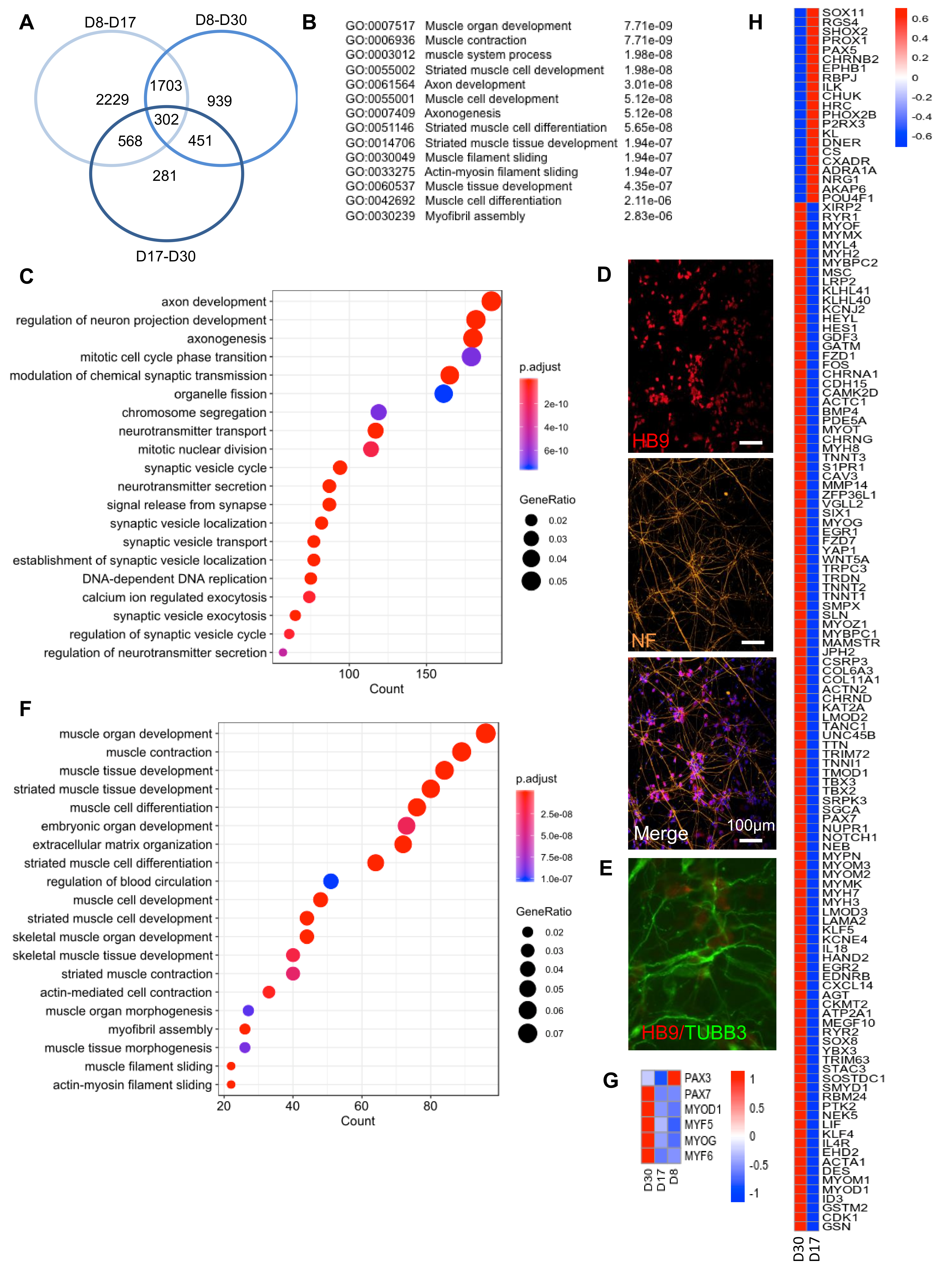 Cells 09 01531 g003