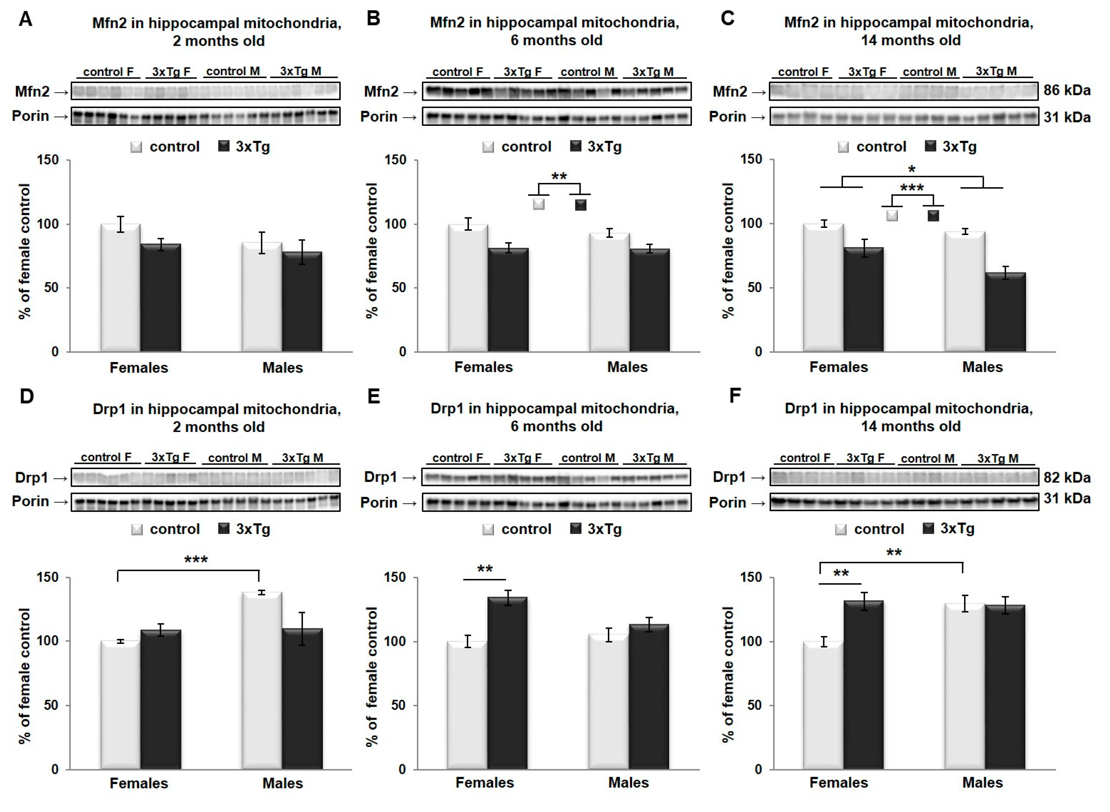 Cells 09 01541 g005 Cells 09 01541 g005