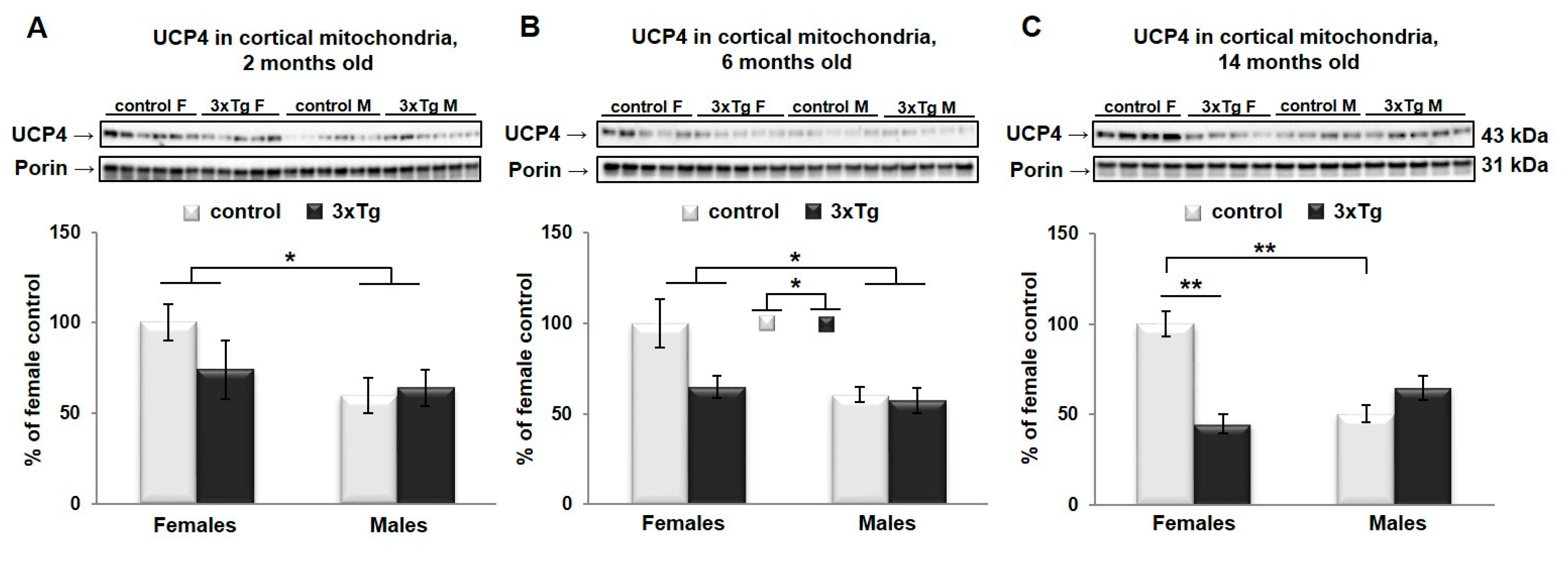 Cells 09 01541 g006 Cells 09 01541 g006