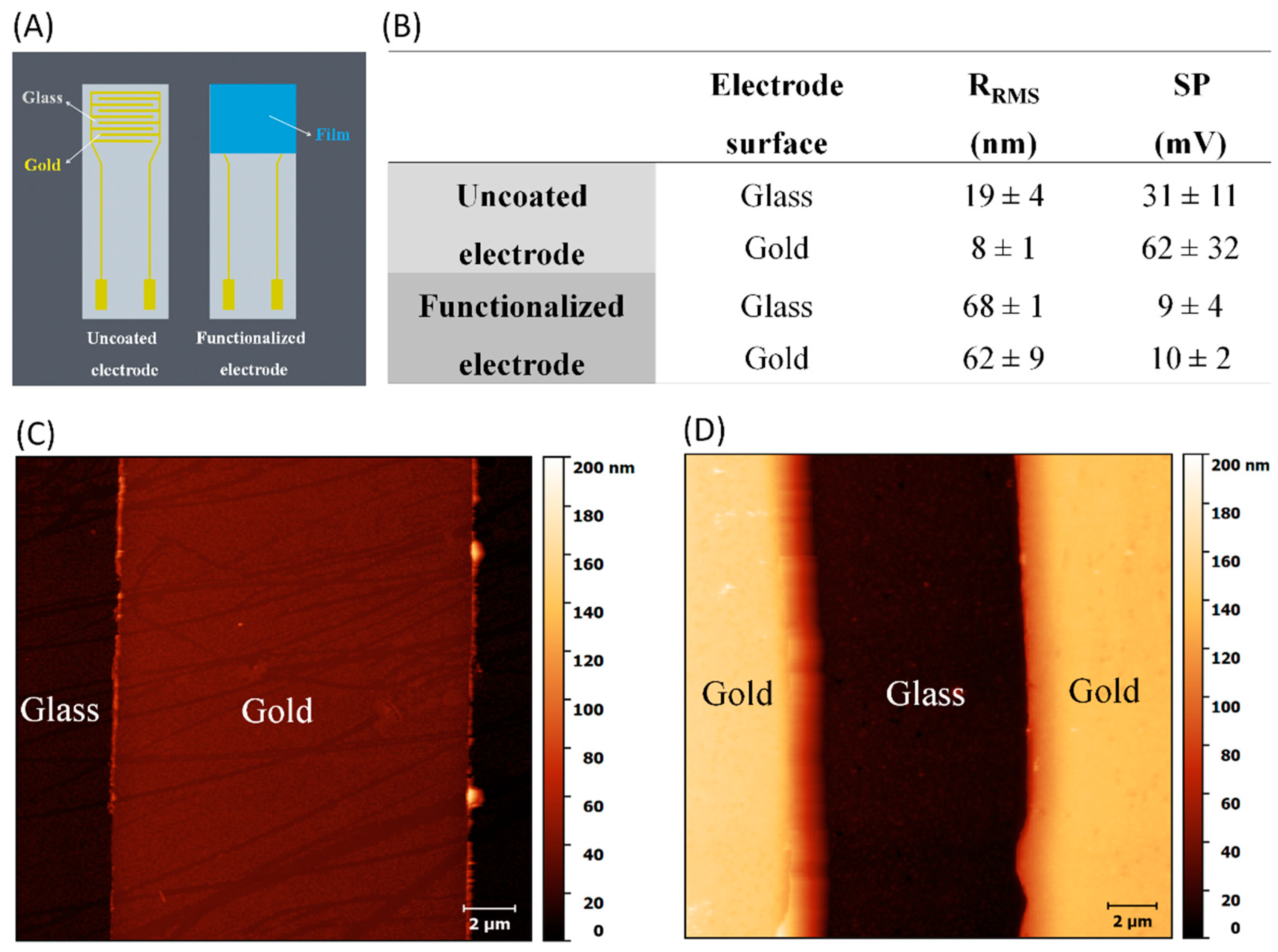 Cells 09 01563 g002 Cells 09 01563 g002