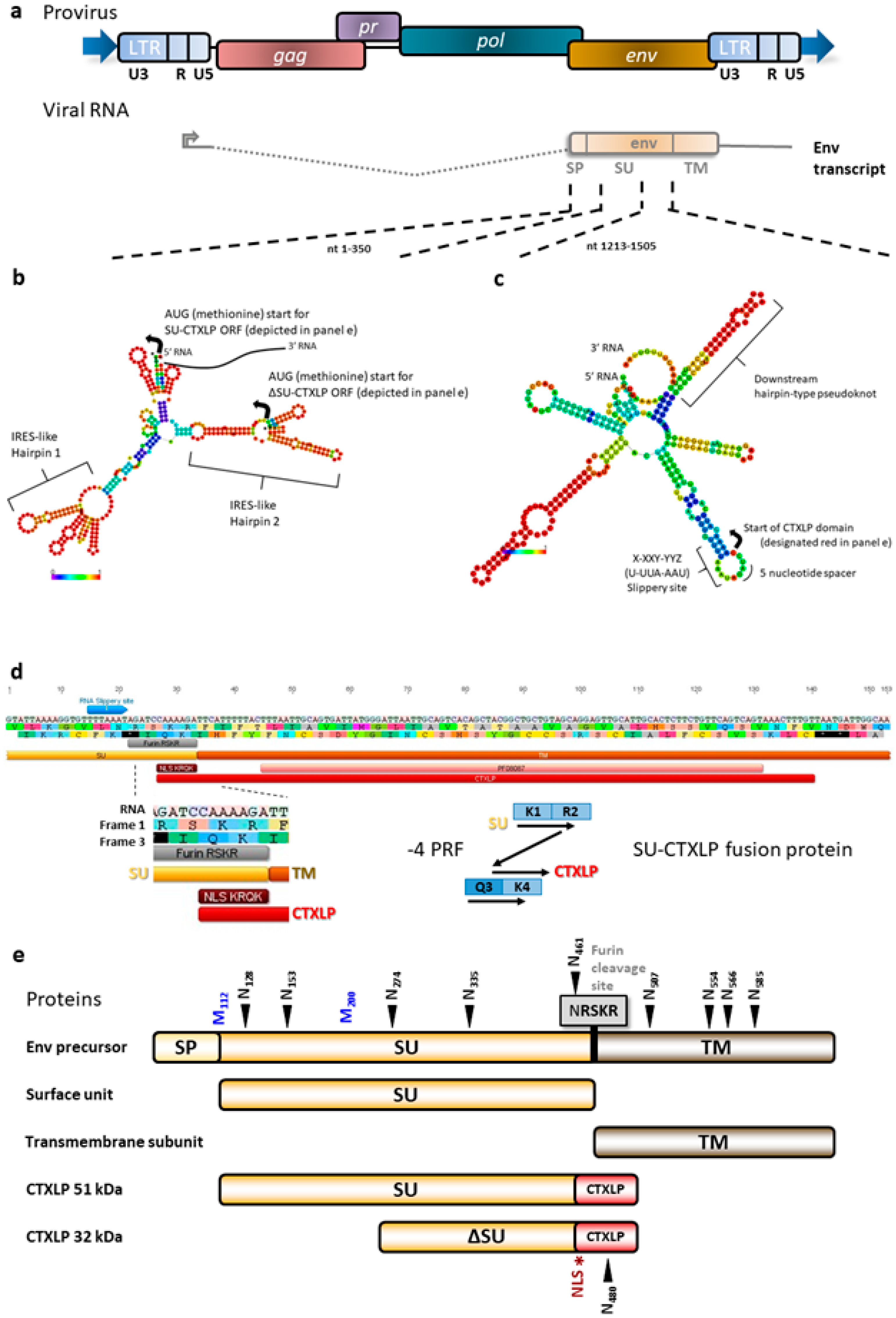 Cells 09 01584 g001 Cells 09 01584 g001