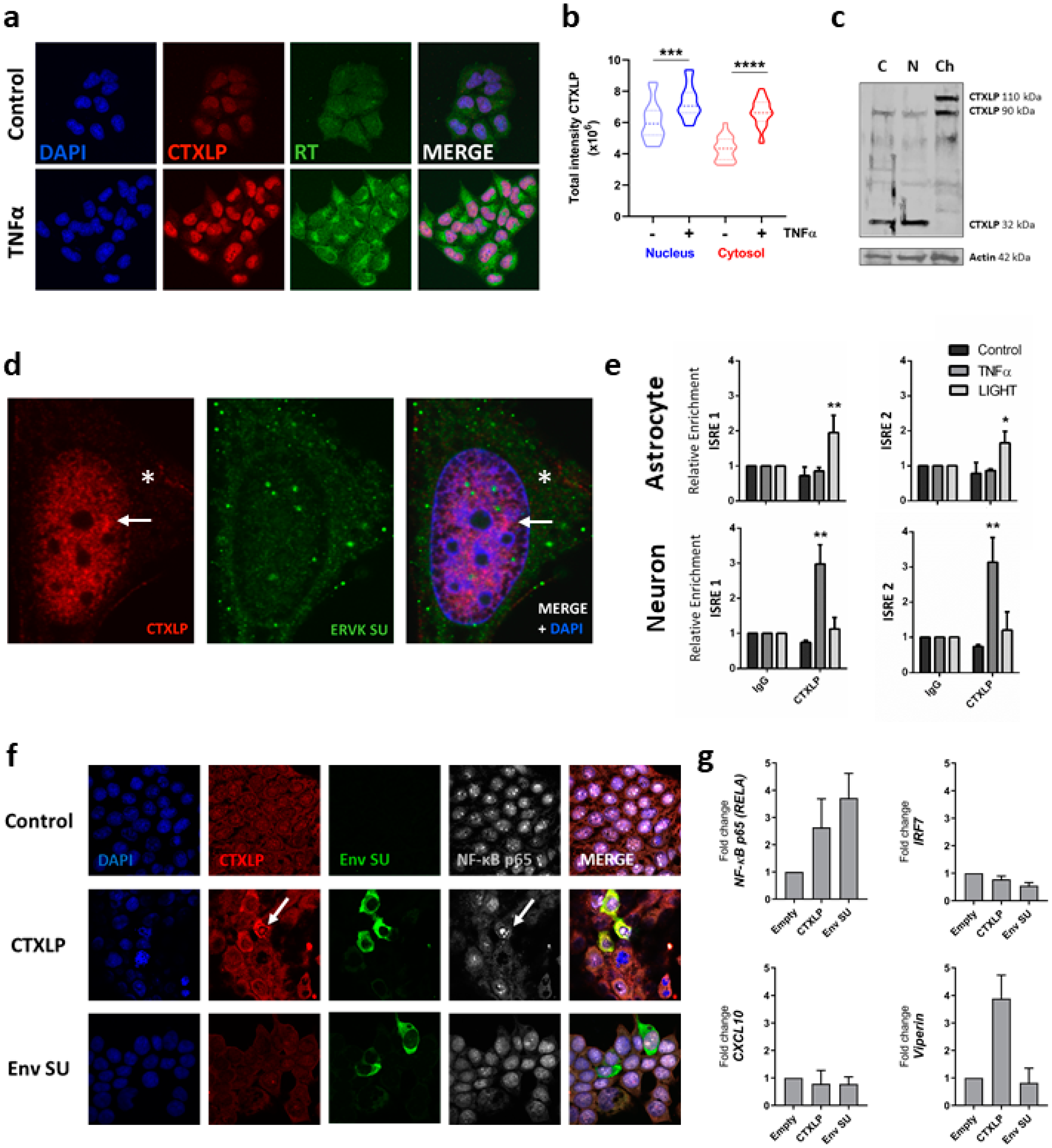 Cells 09 01584 g003 Cells 09 01584 g003