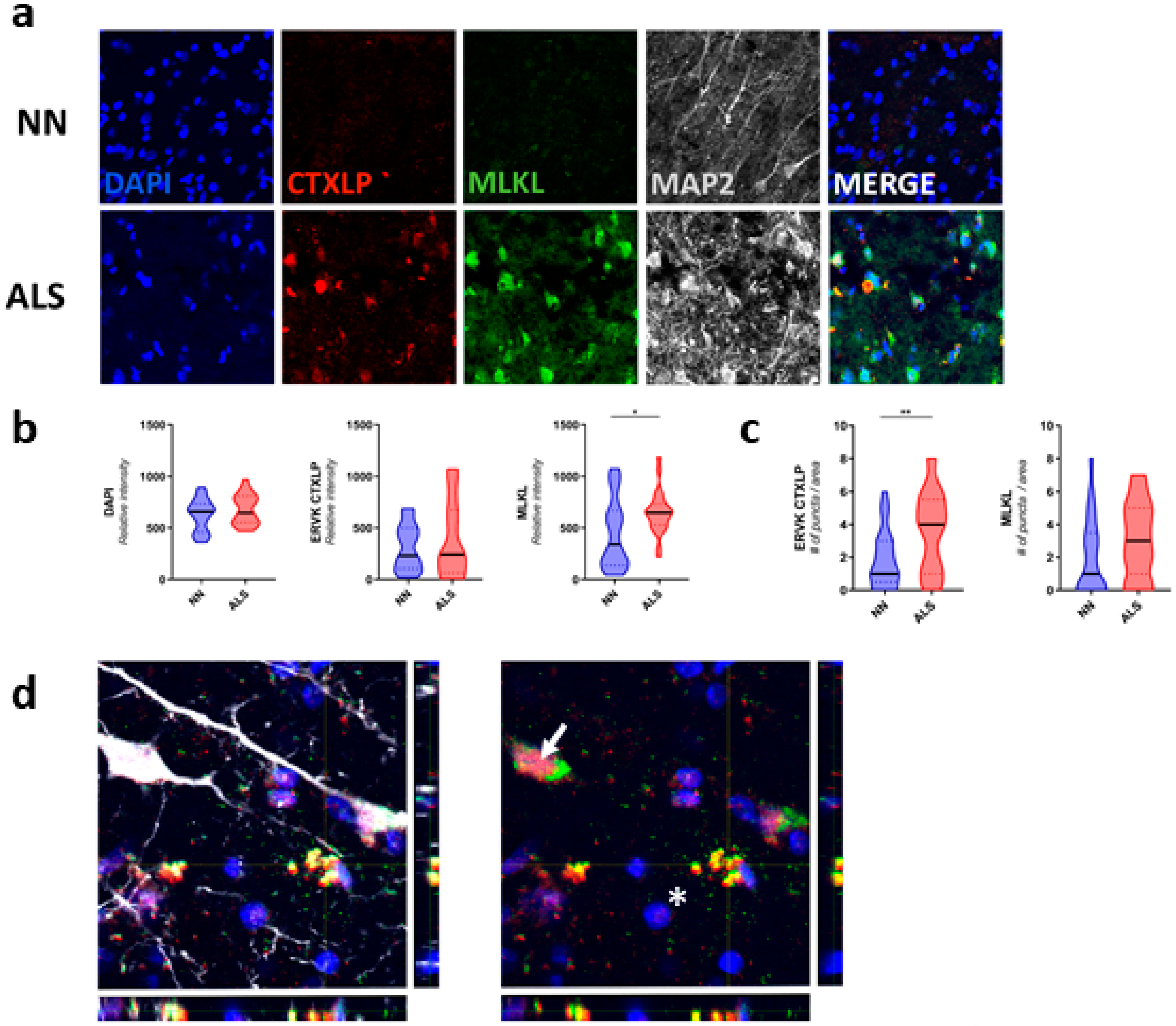 Cells 09 01584 g004 Cells 09 01584 g004