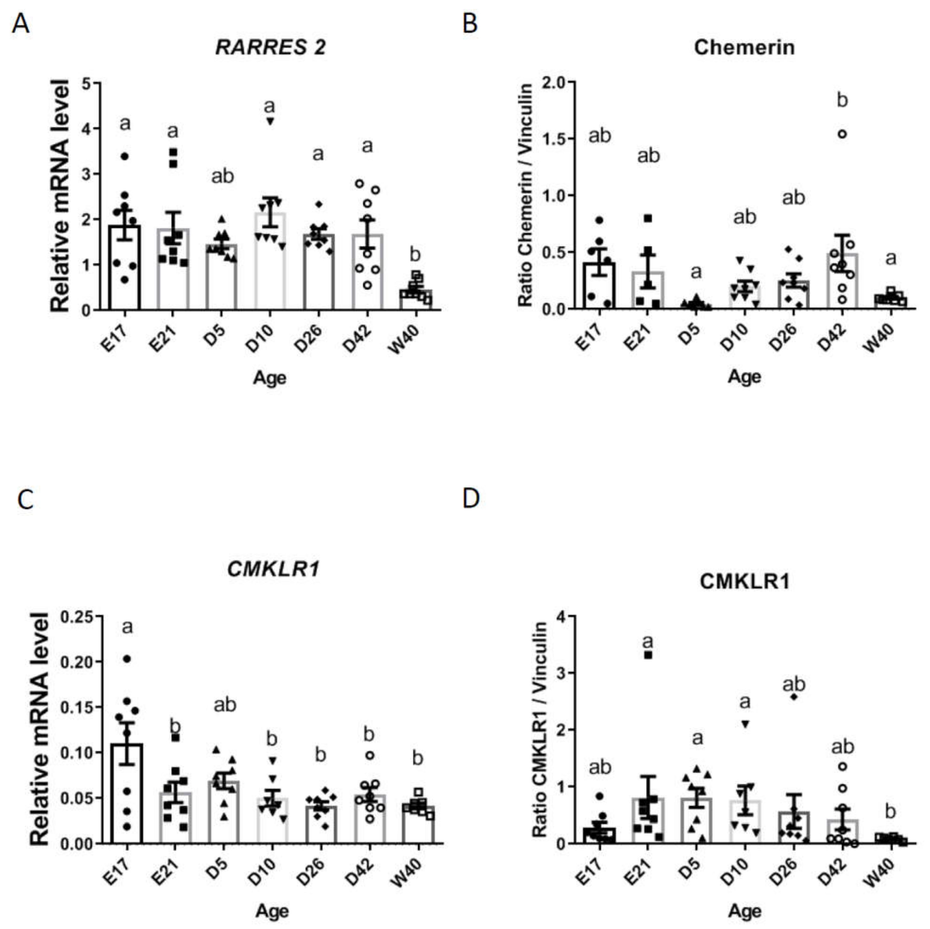 Cells 09 01599 g001 Cells 09 01599 g001
