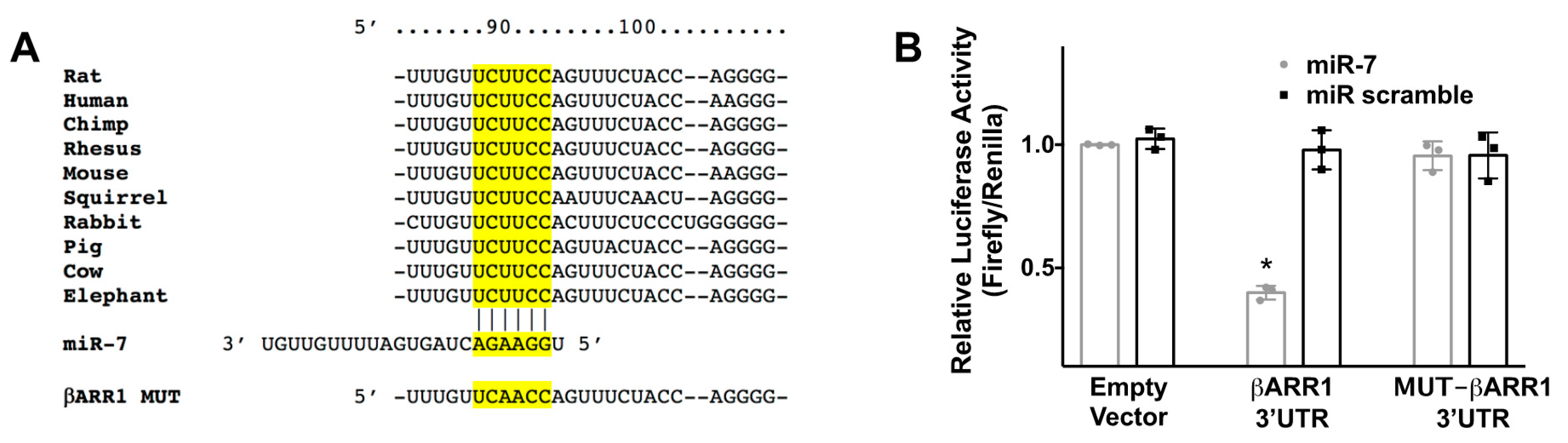 Cells 09 01621 g001 Cells 09 01621 g001