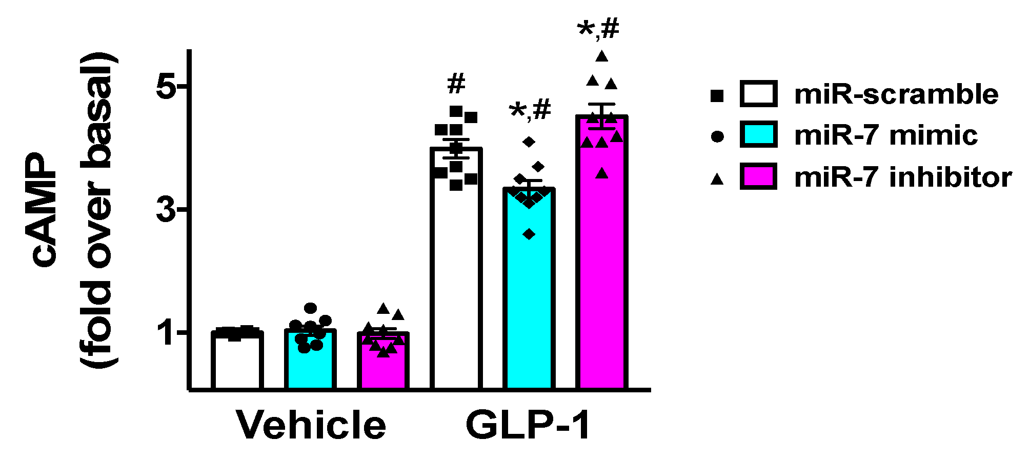 Cells 09 01621 g004 Cells 09 01621 g004