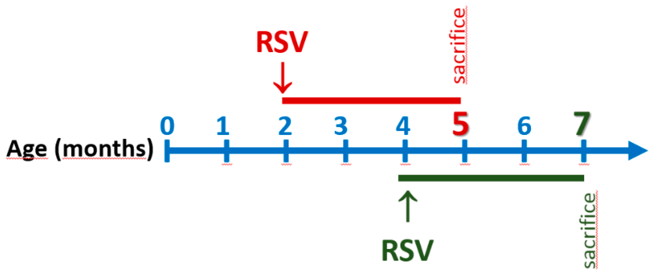 Cells 09 01628 sch001